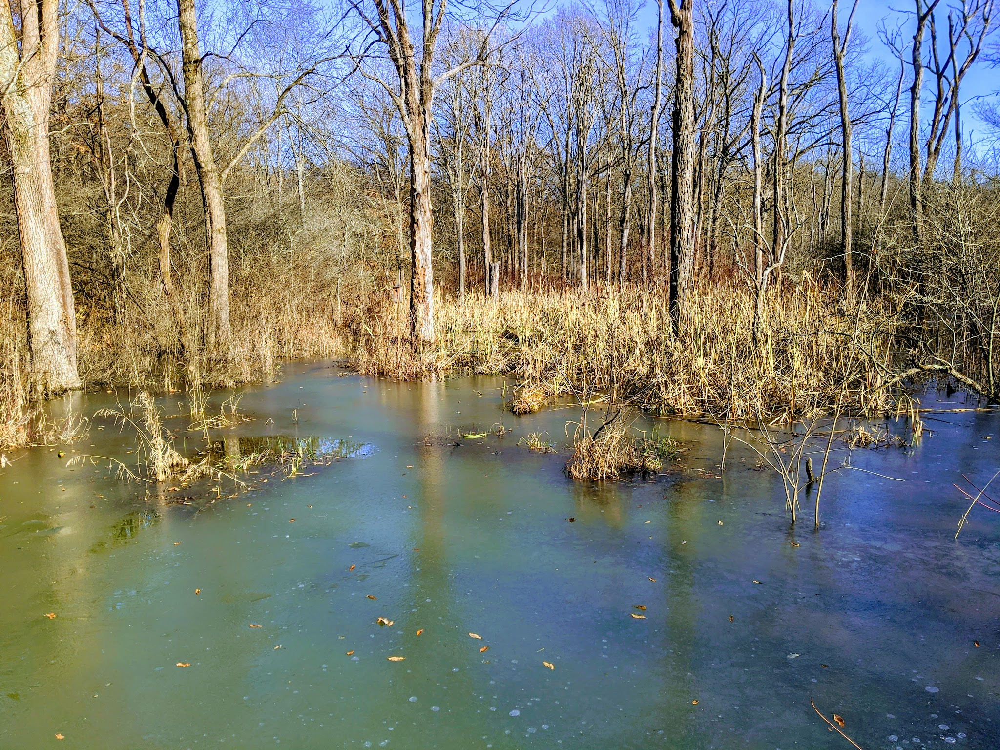 Jennings Environmental Education Center