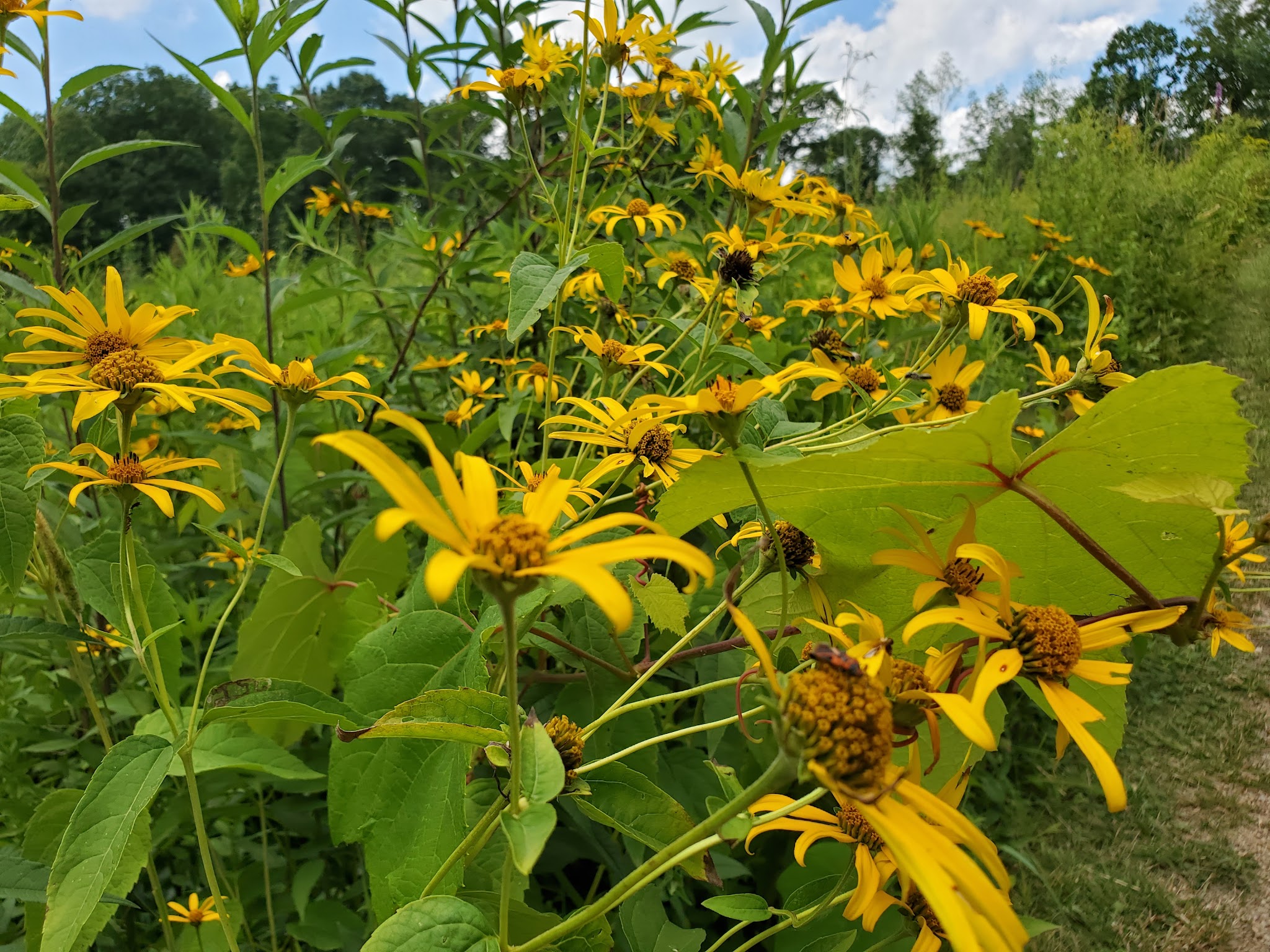 Jennings Environmental Education Center
