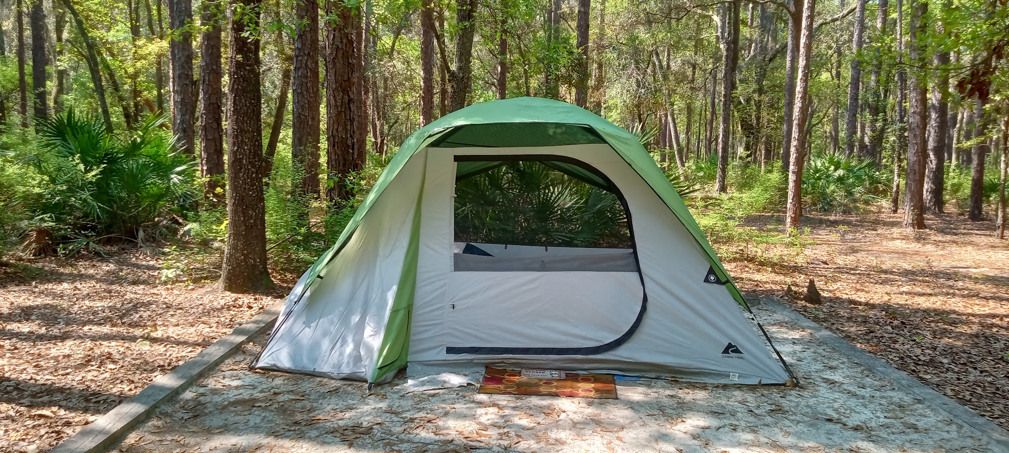 Hammock Campground Jennings State Forest