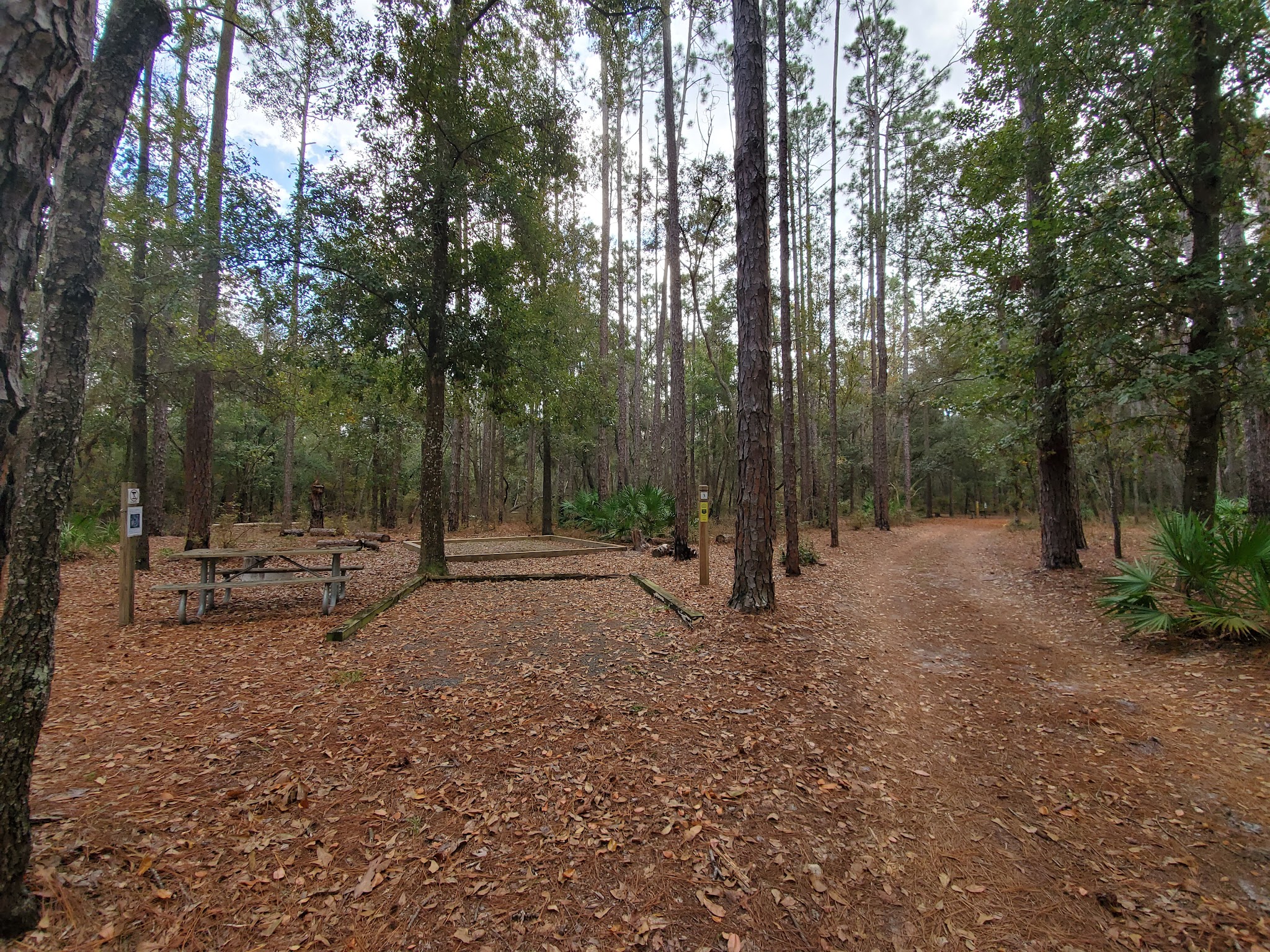 Hammock Campground Jennings State Forest