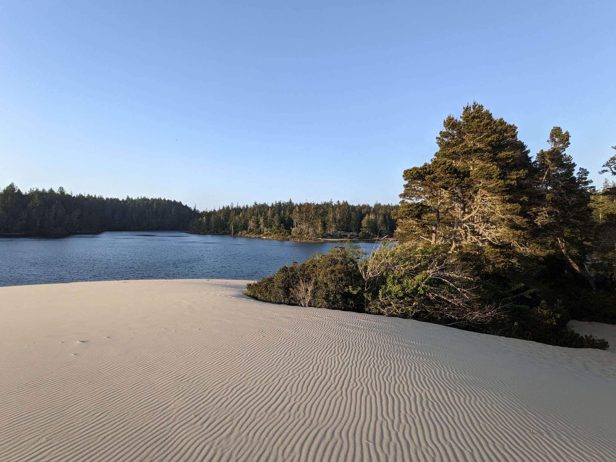 Jessie M. Honeyman Memorial State Park