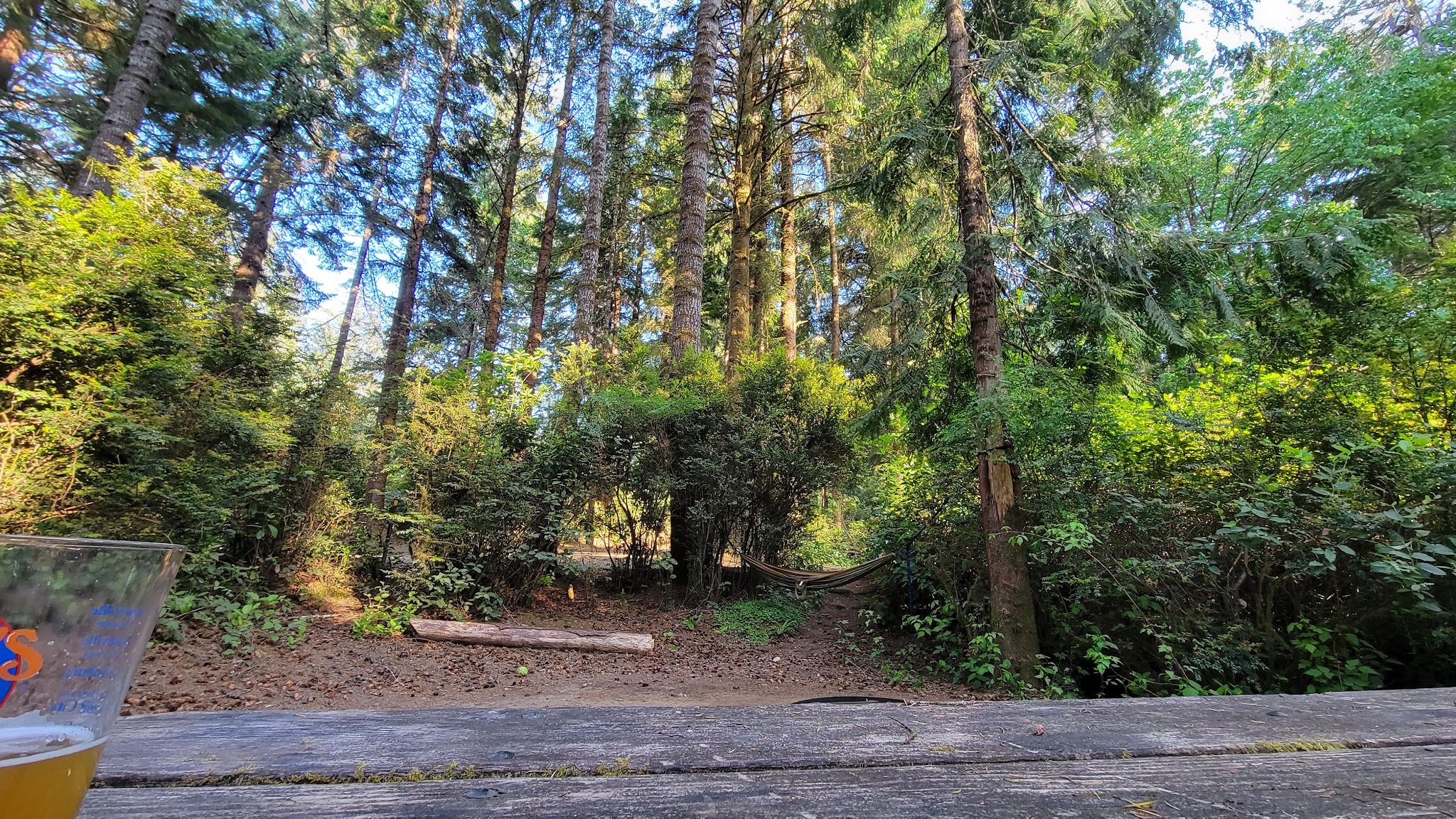 Jessie M. Honeyman Memorial State Park