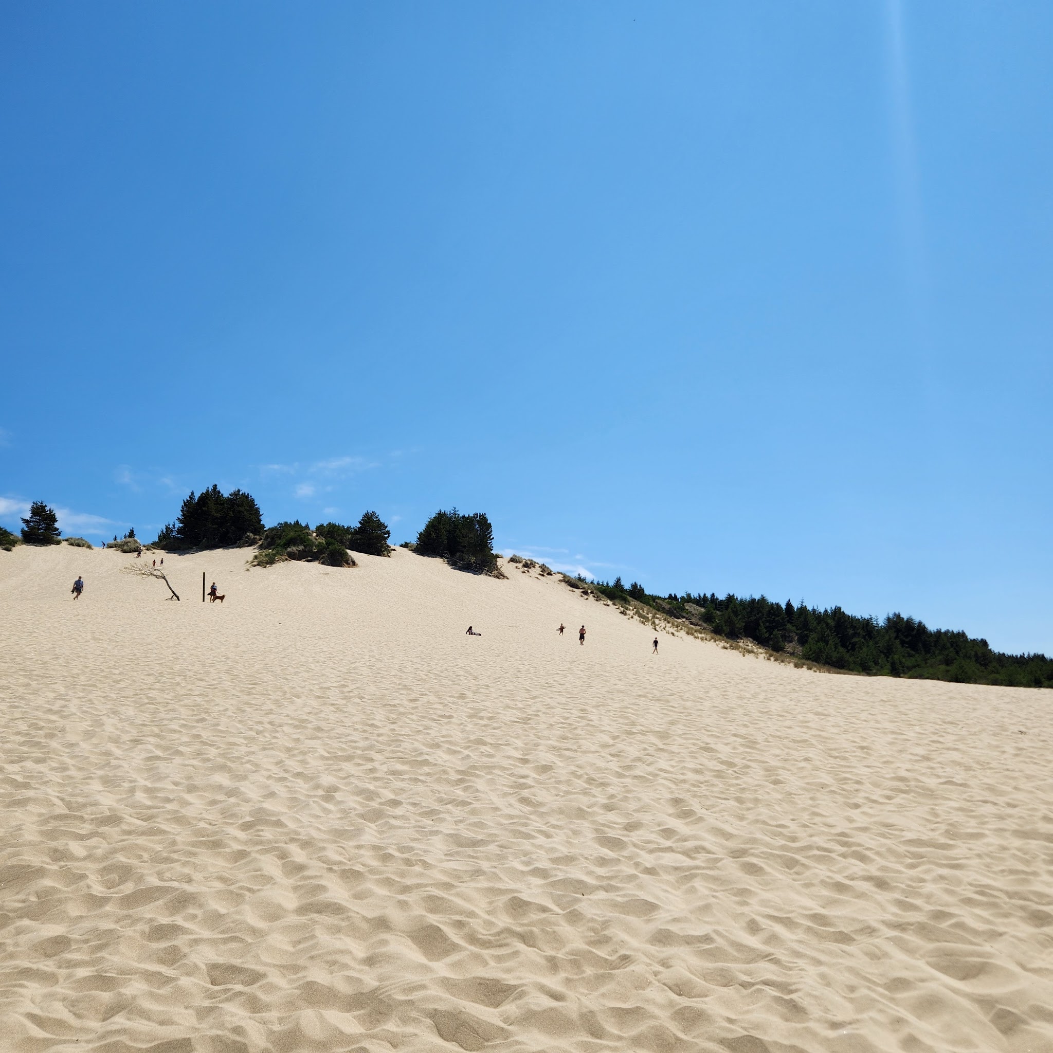 Jessie M. Honeyman Memorial State Park