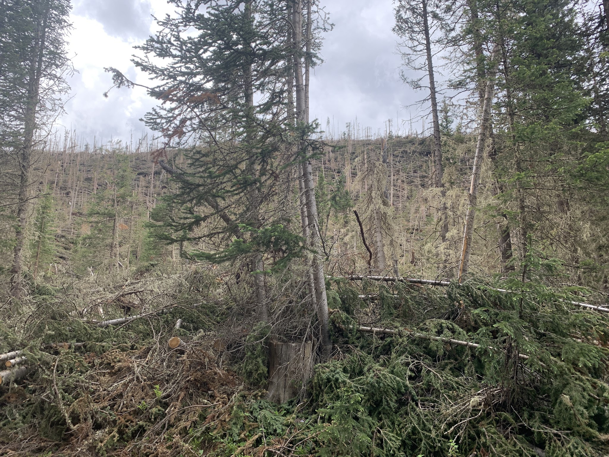 Jim Creek Campground