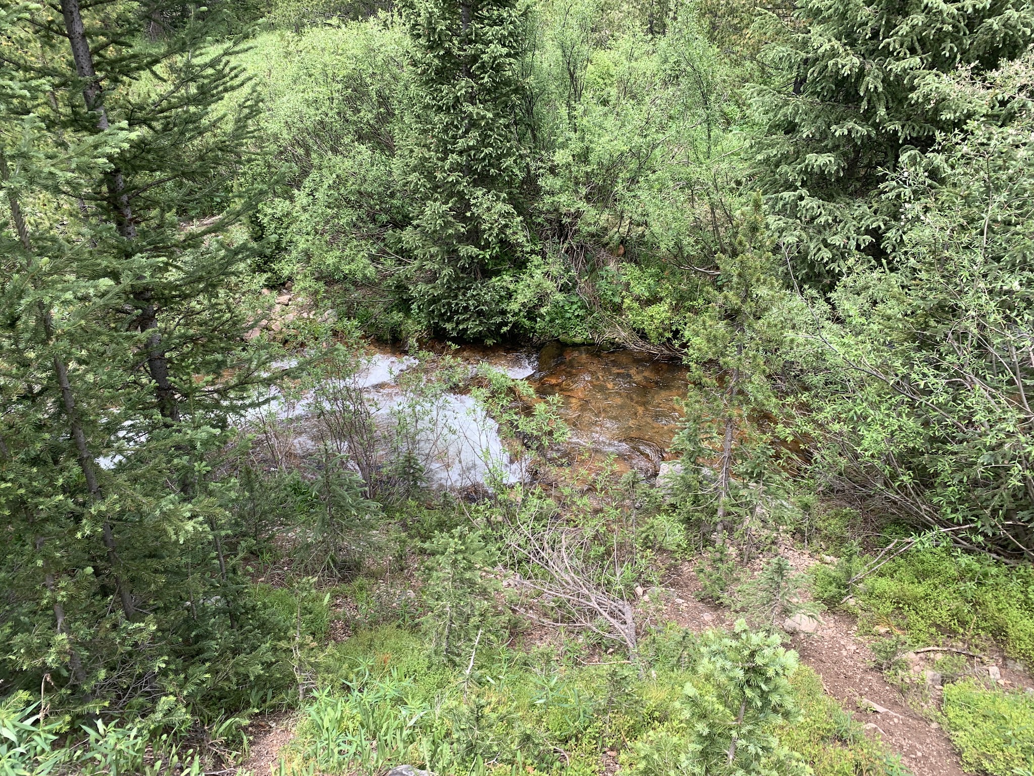 Jim Creek Campground