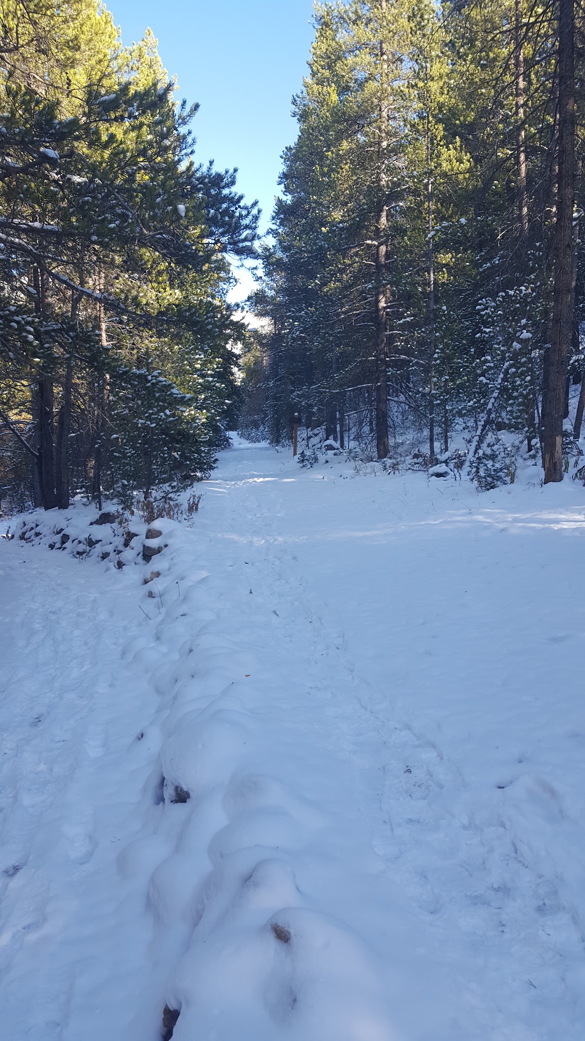 Jim Creek Campground