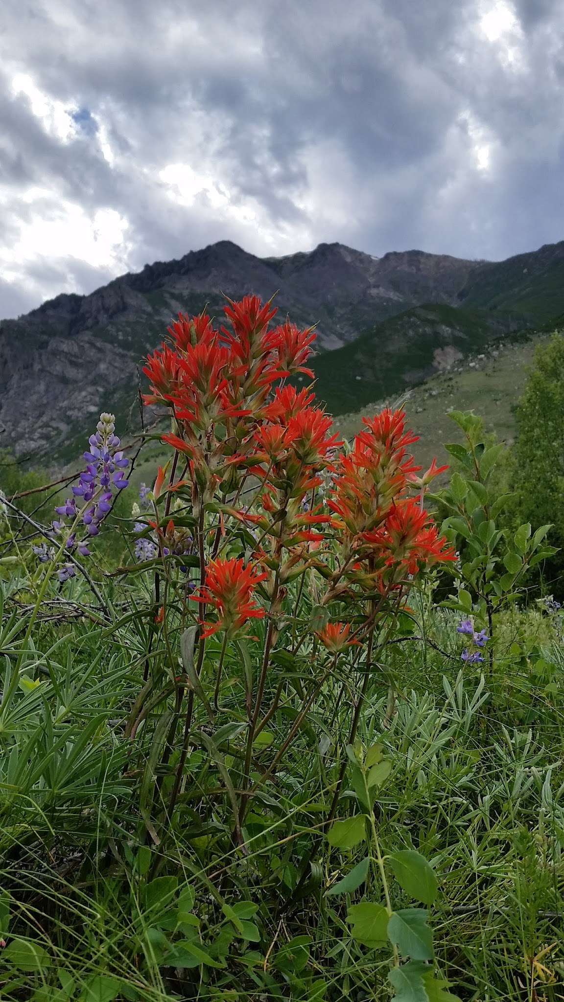 Jimmy Joe Campground