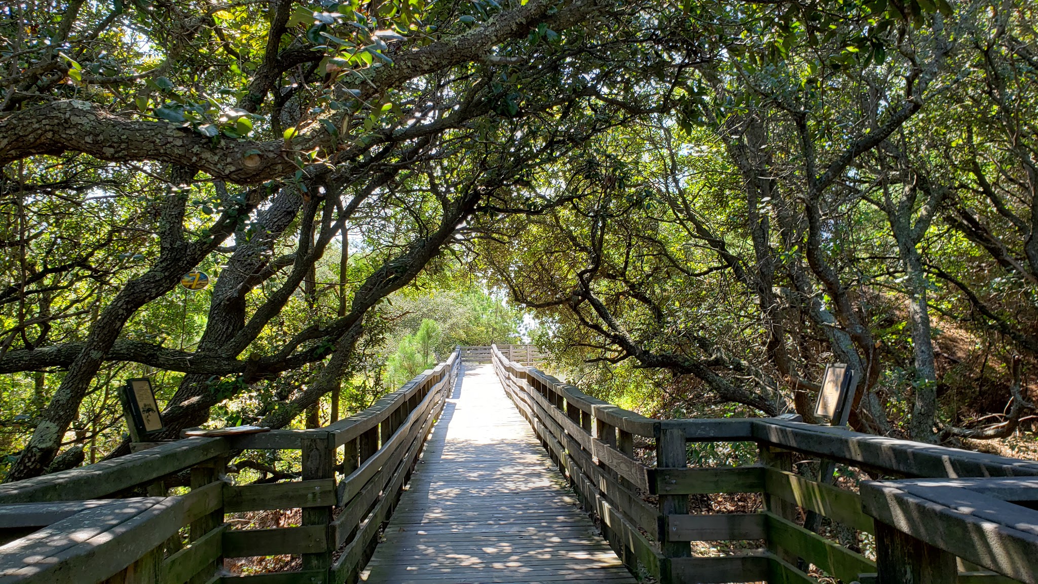 Jockeys Ridge State Park