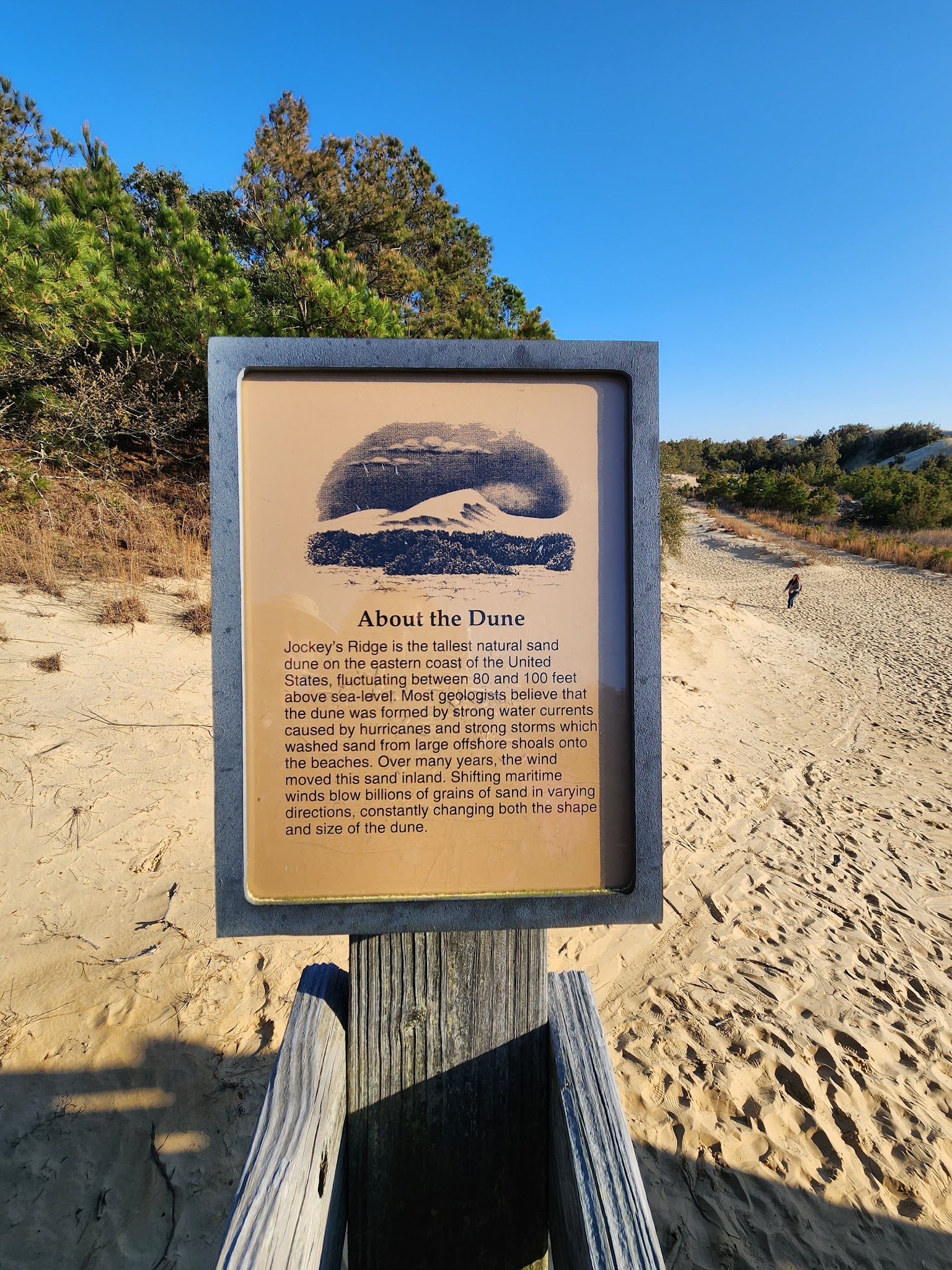 Jockeys Ridge State Park