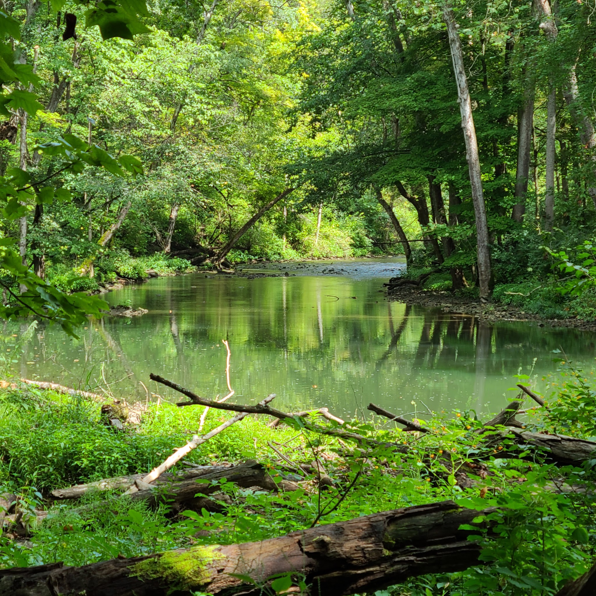 John Bryan Campground