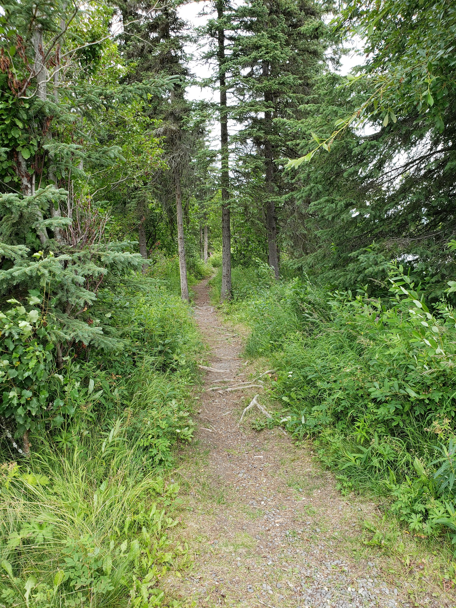 Johnson Lake State Recreation Area