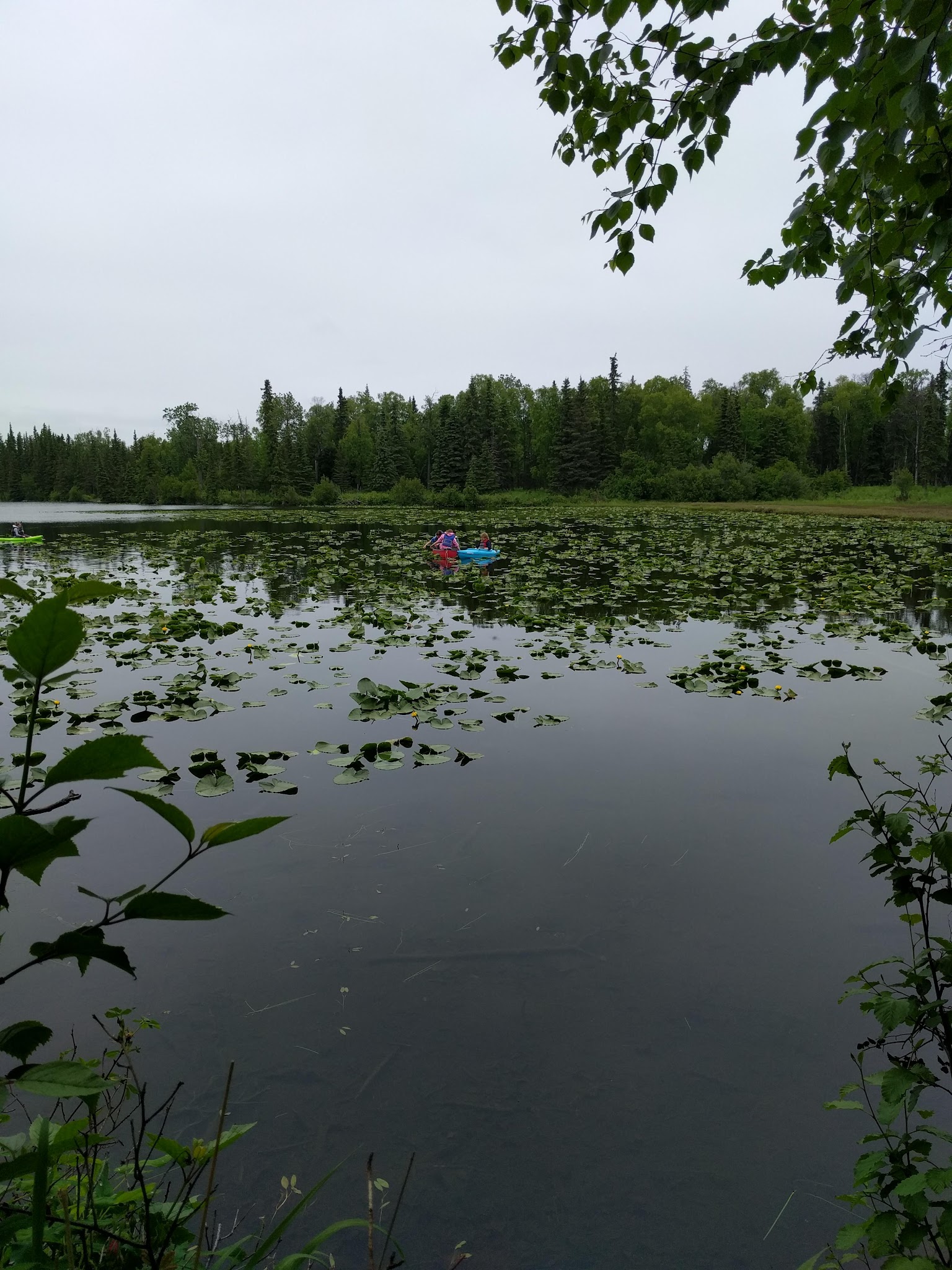 Johnson Lake State Recreation Area