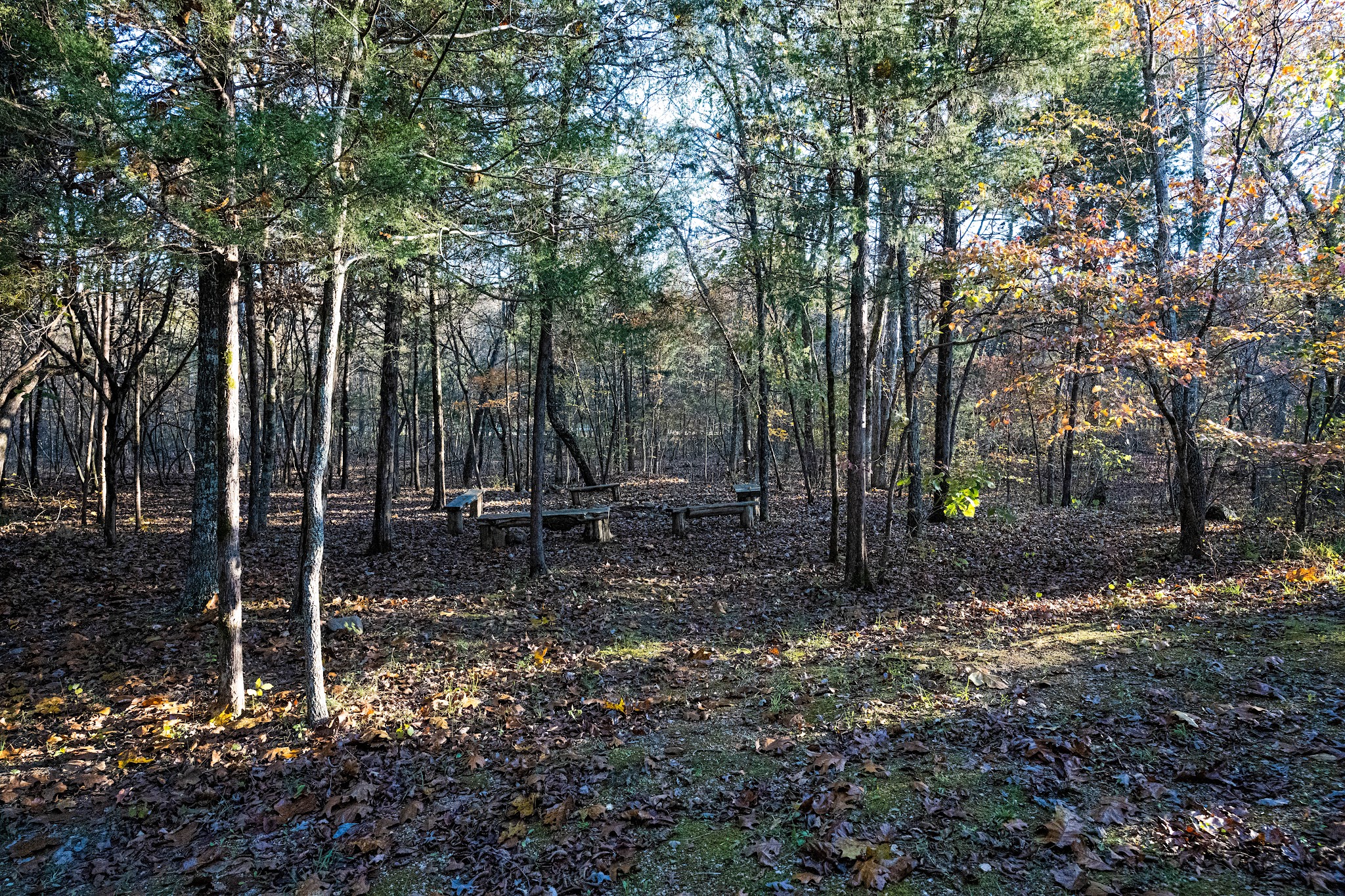 Johnson'S Shut-Ins State Park Campground