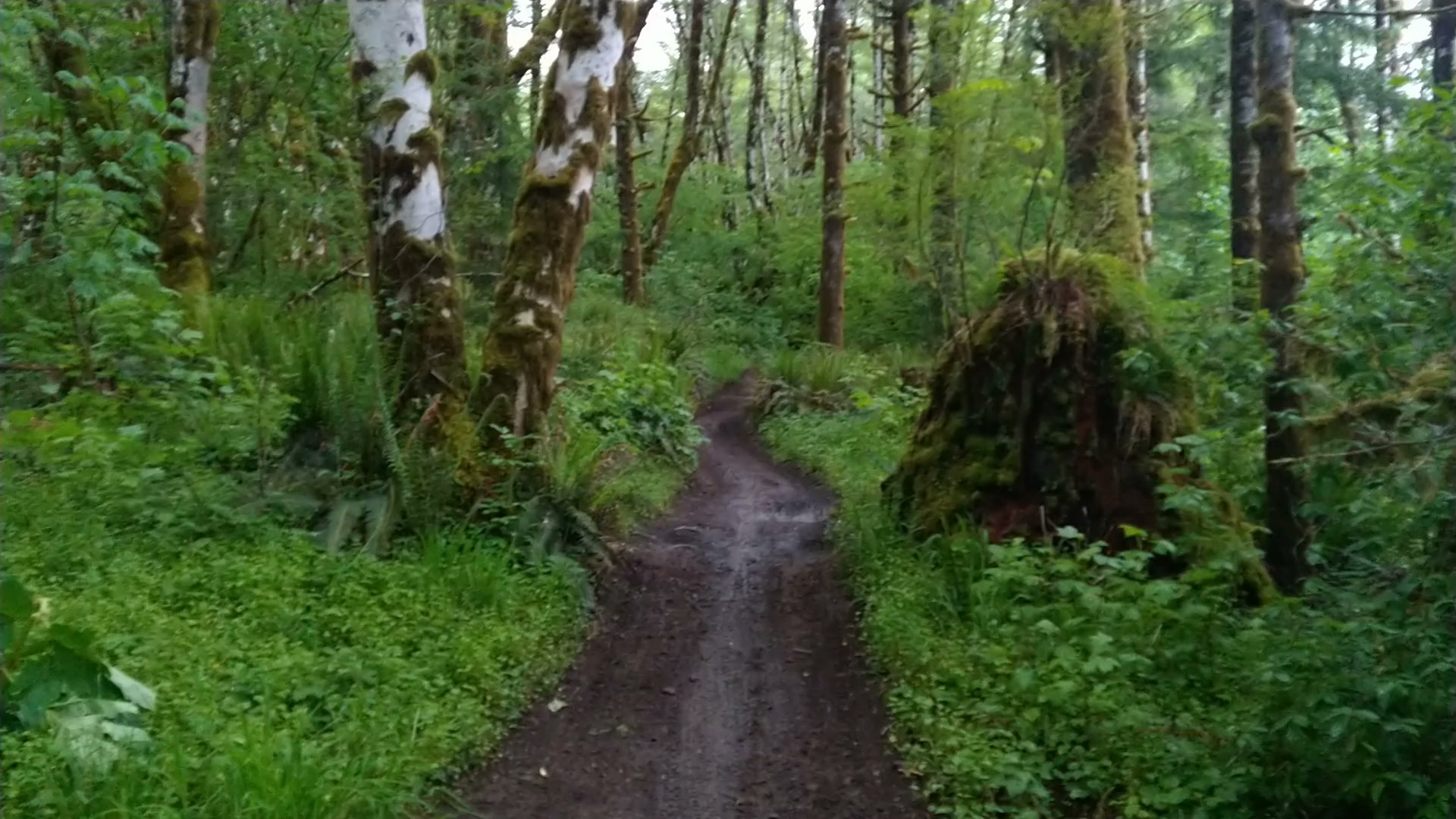 Jones Creek Campground