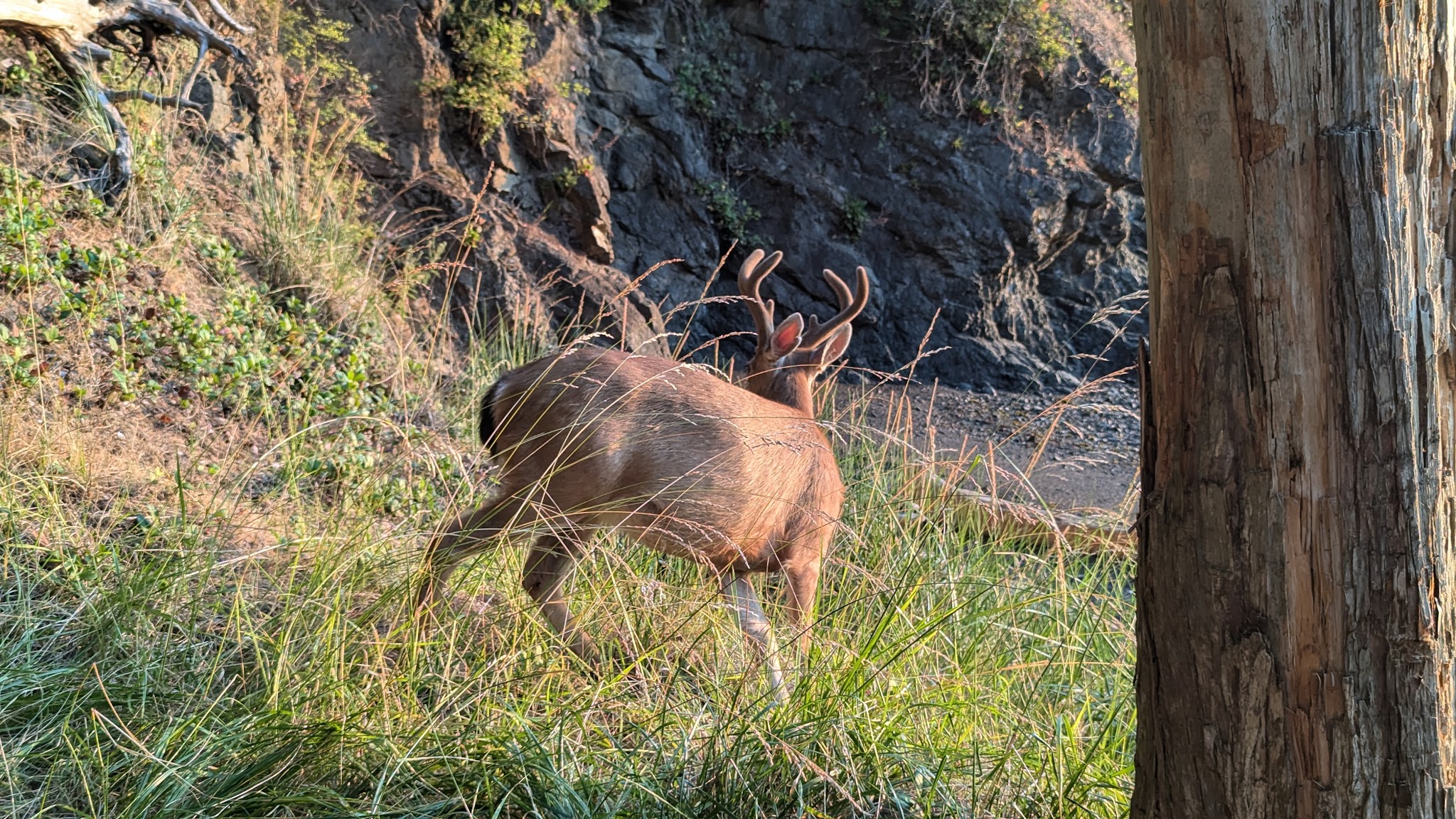 Jones Island Marine State Park