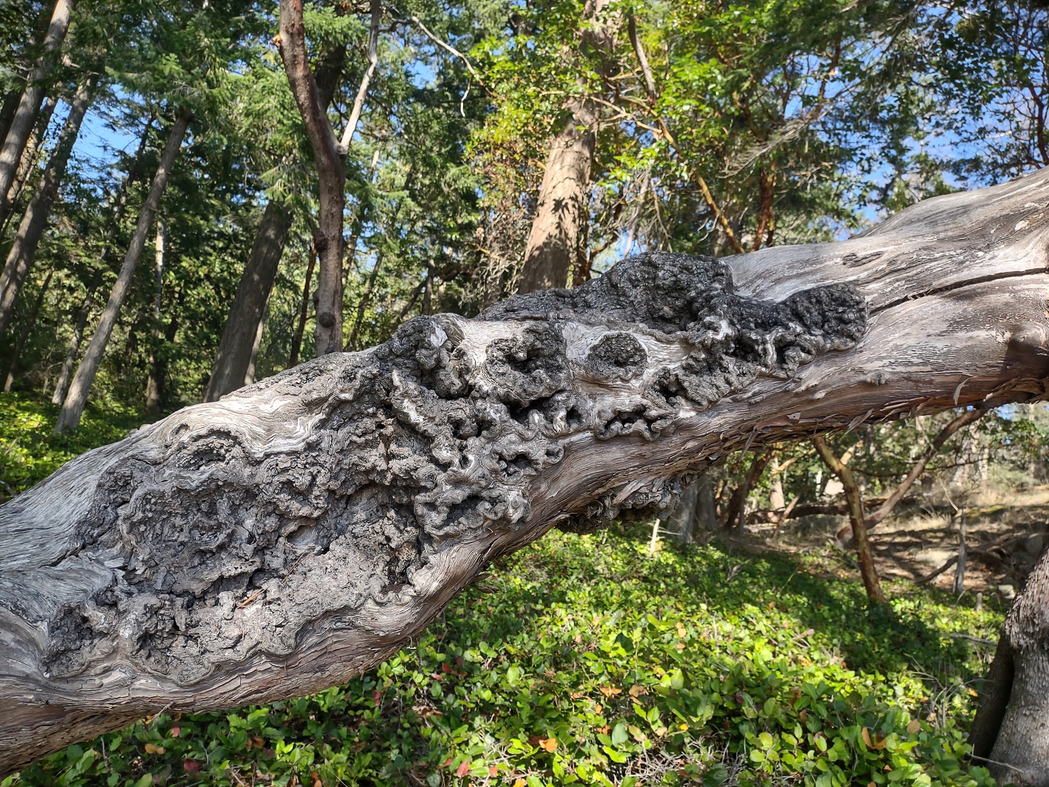 Jones Island Marine State Park