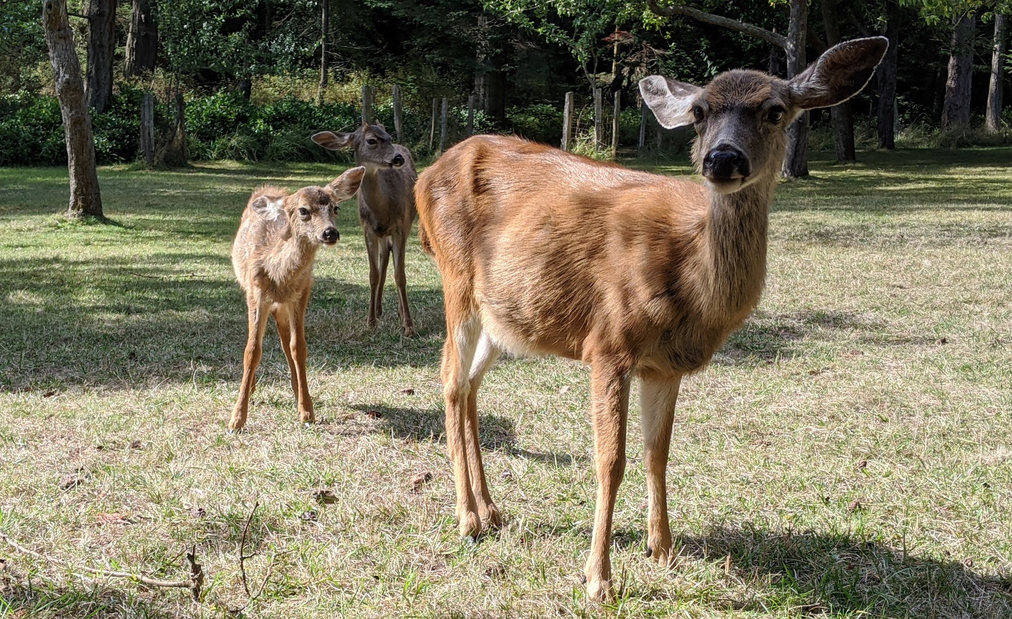 Jones Island Marine State Park