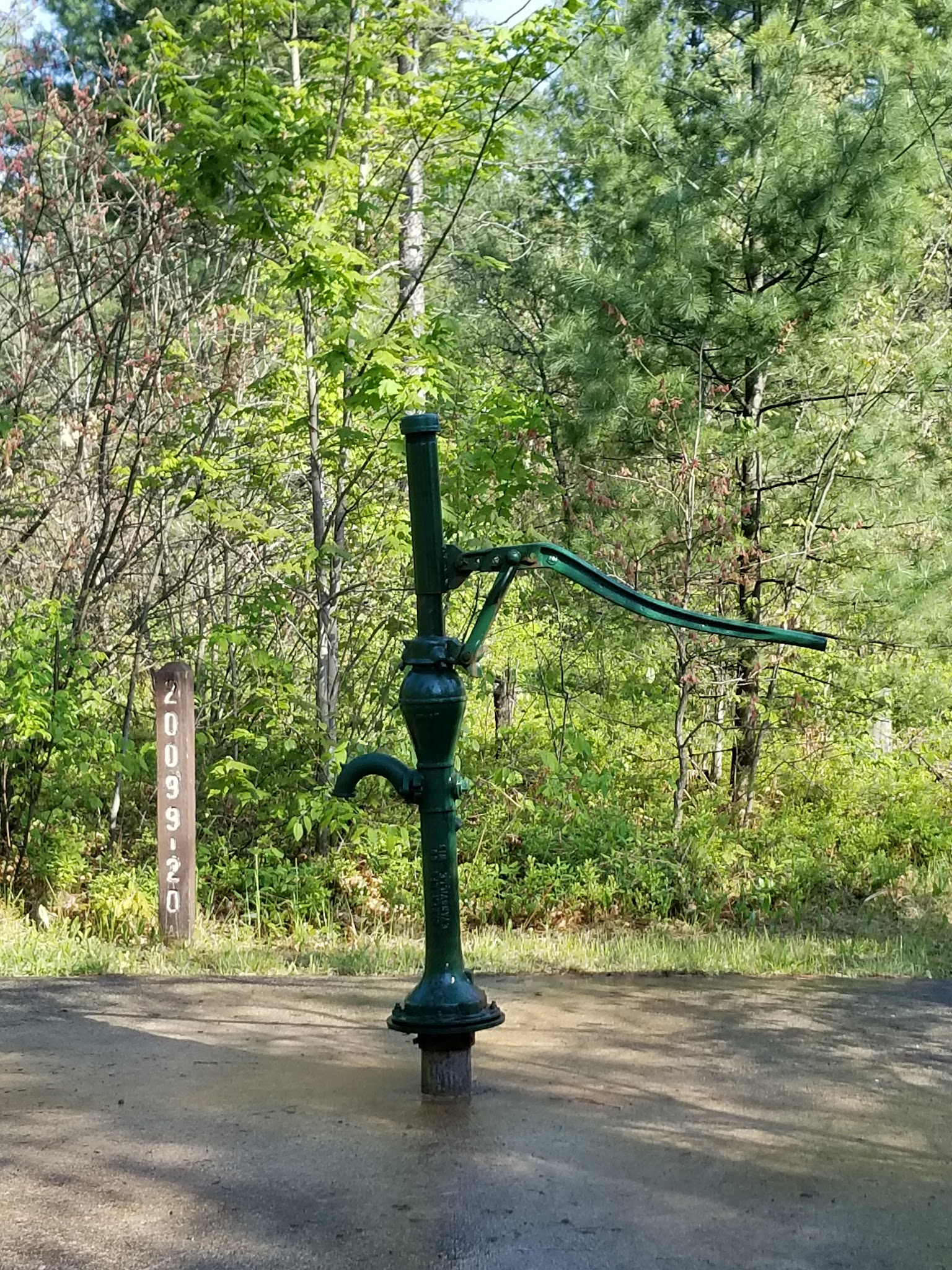 Jones Lake State Forest Campground