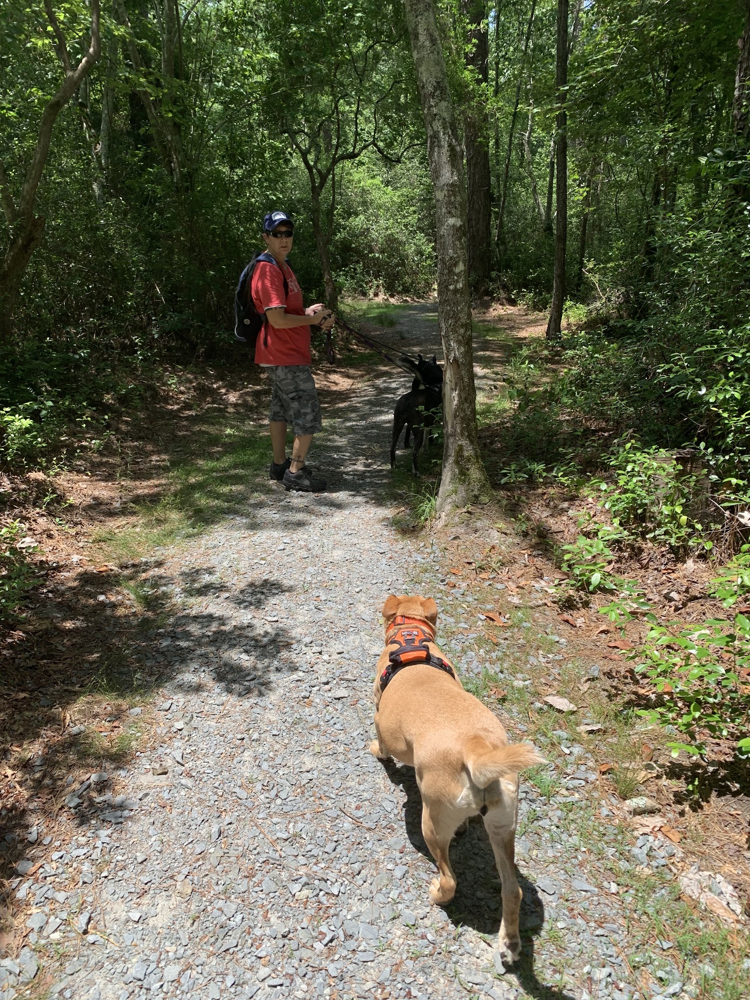Jones Lake State Park