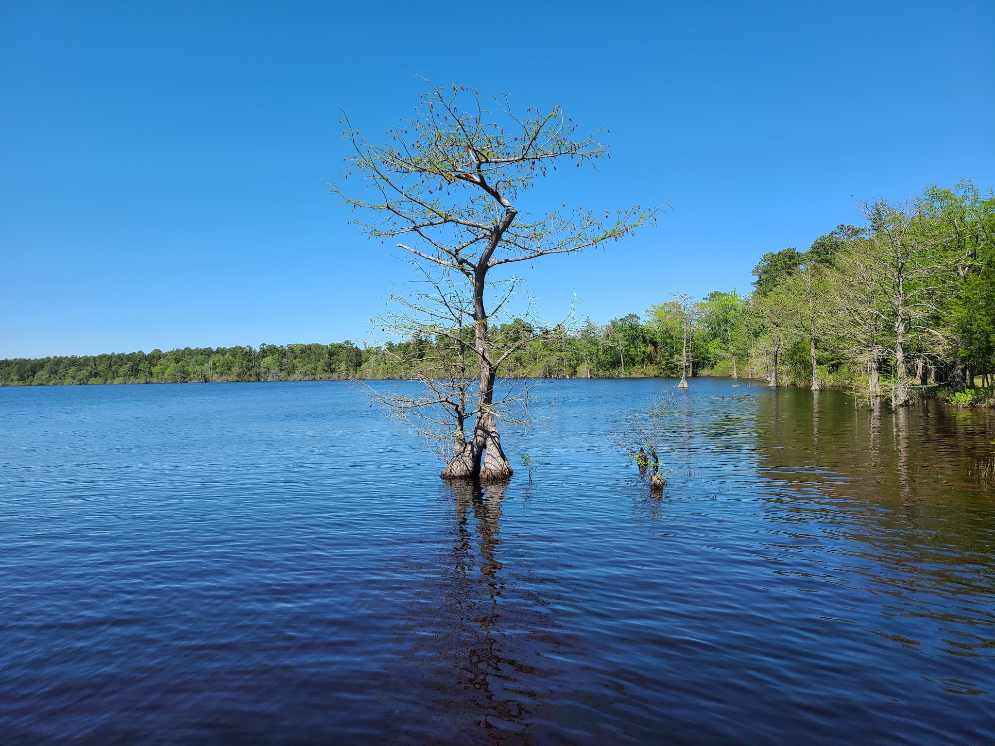 Jones Lake State Park