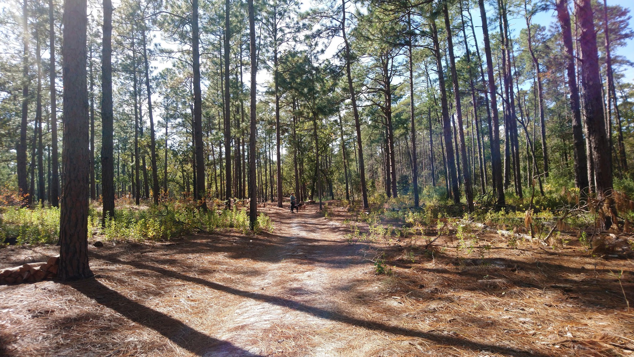 Jones Lake State Park