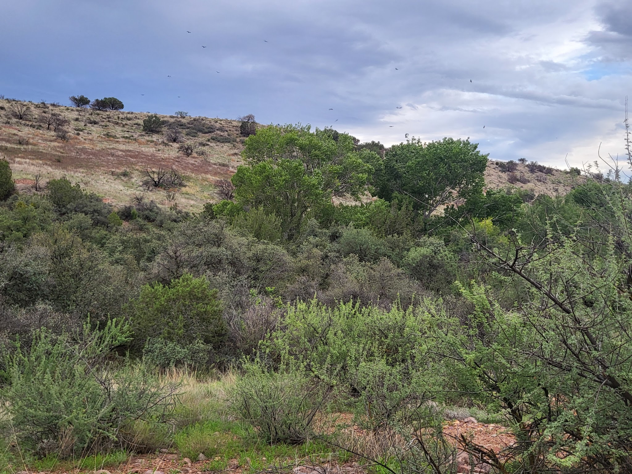 Jones Water Campground