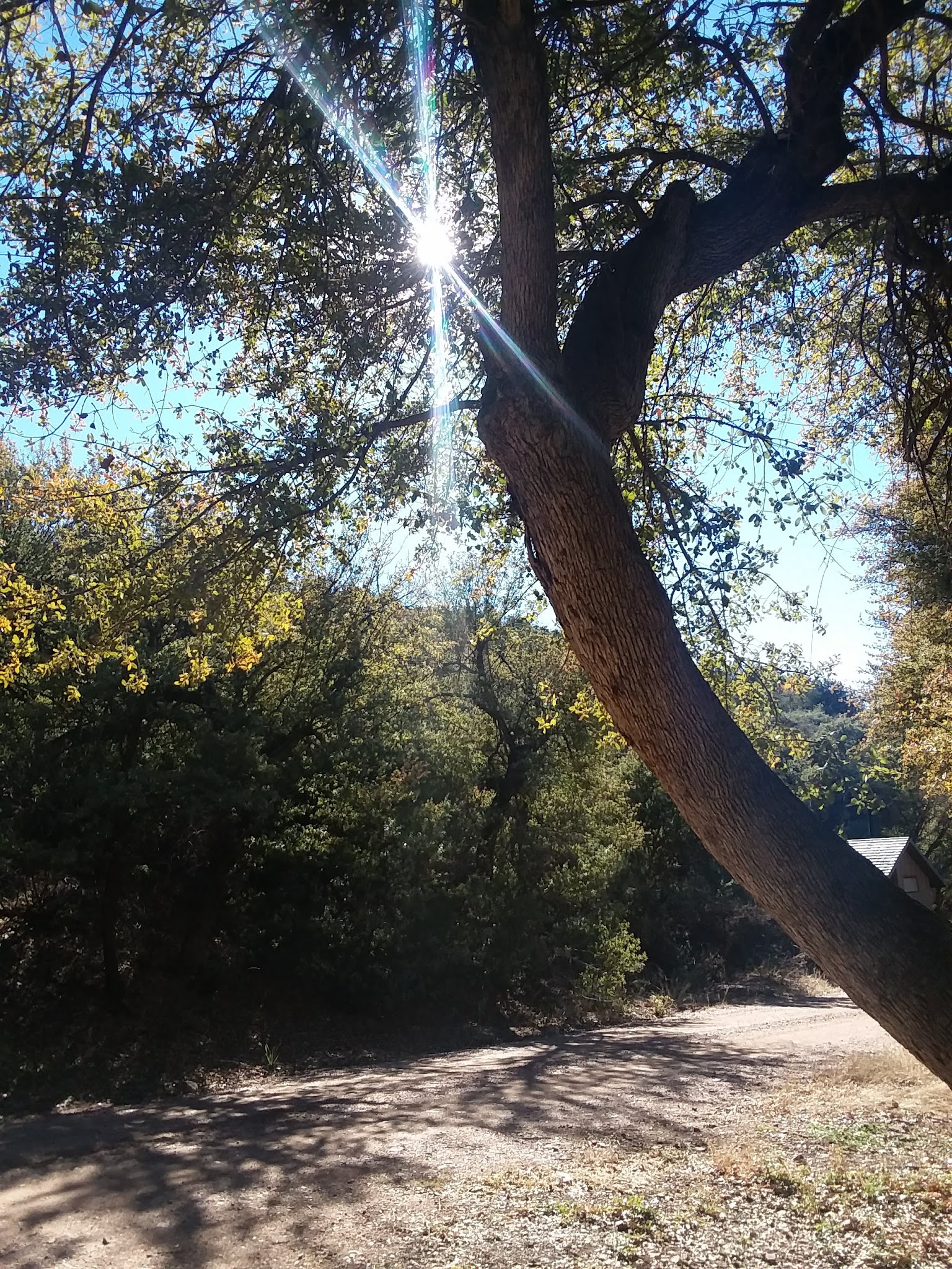 Jones Water Campground