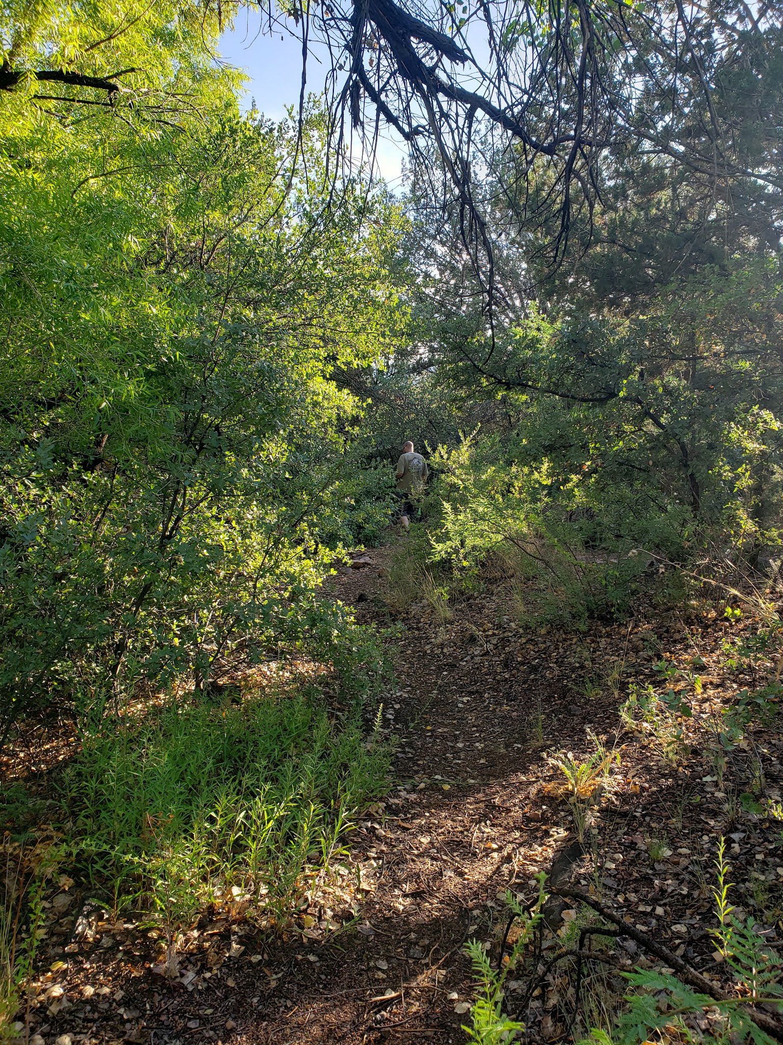 Jones Water Campground