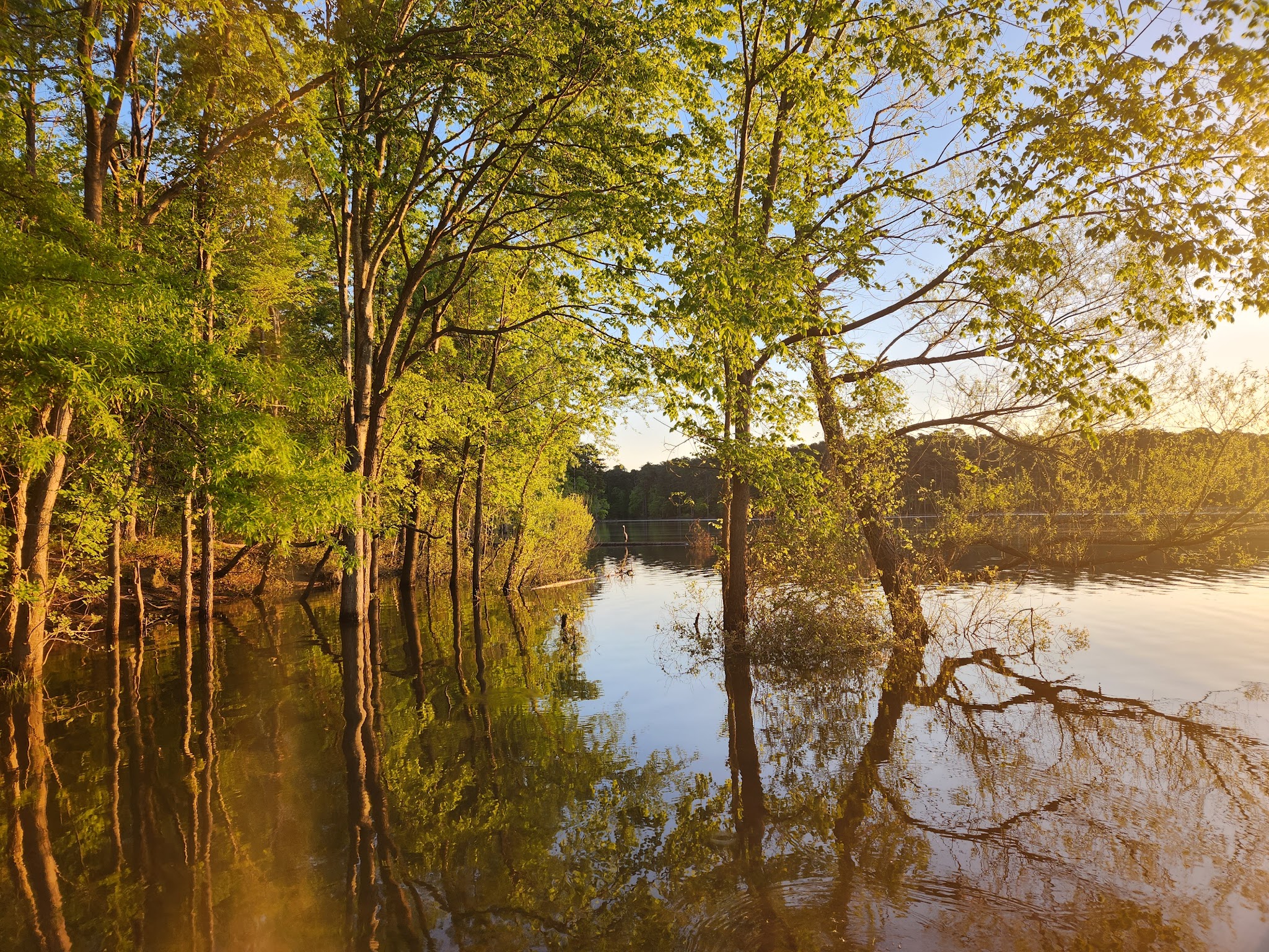 Jordan Lake State Rec Area