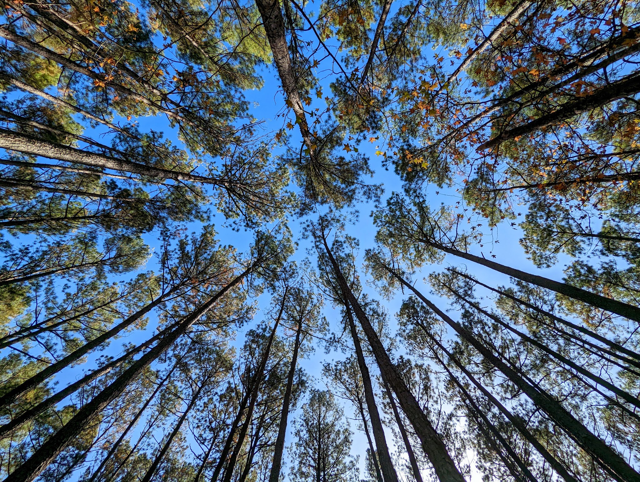 Jordan Lake State Rec Area