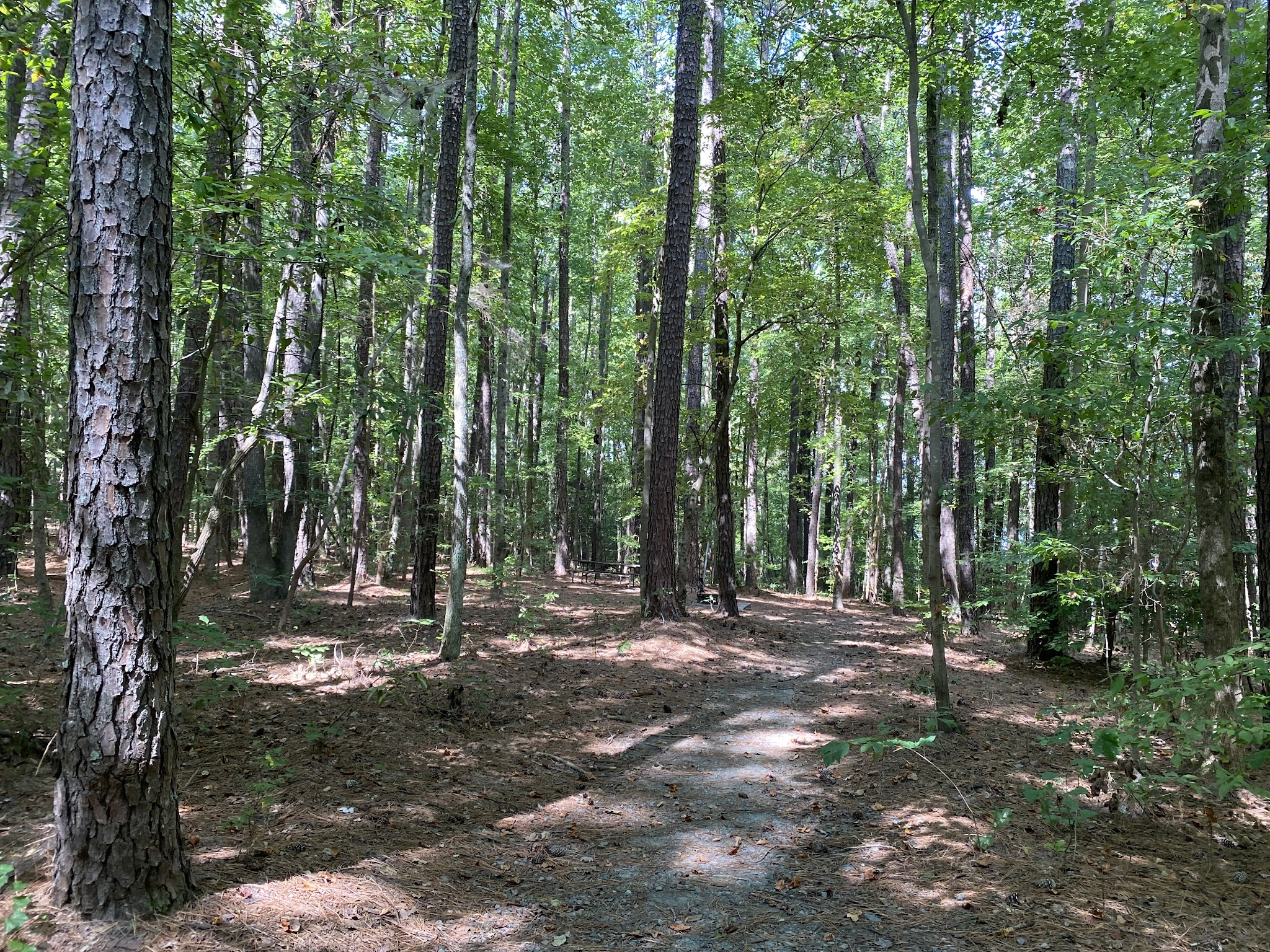 Jordan Lake State Rec Area