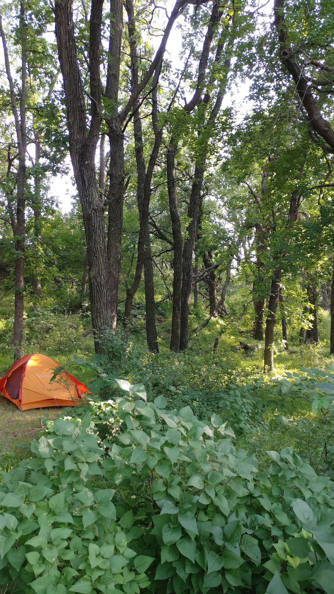 Jorgen'S Hollow Campground