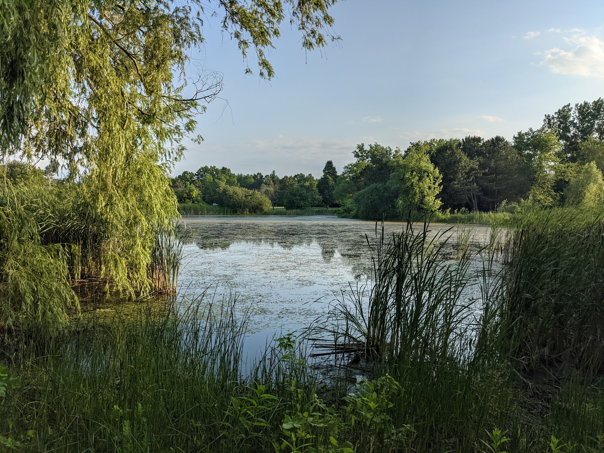 Joseph Davis State Park