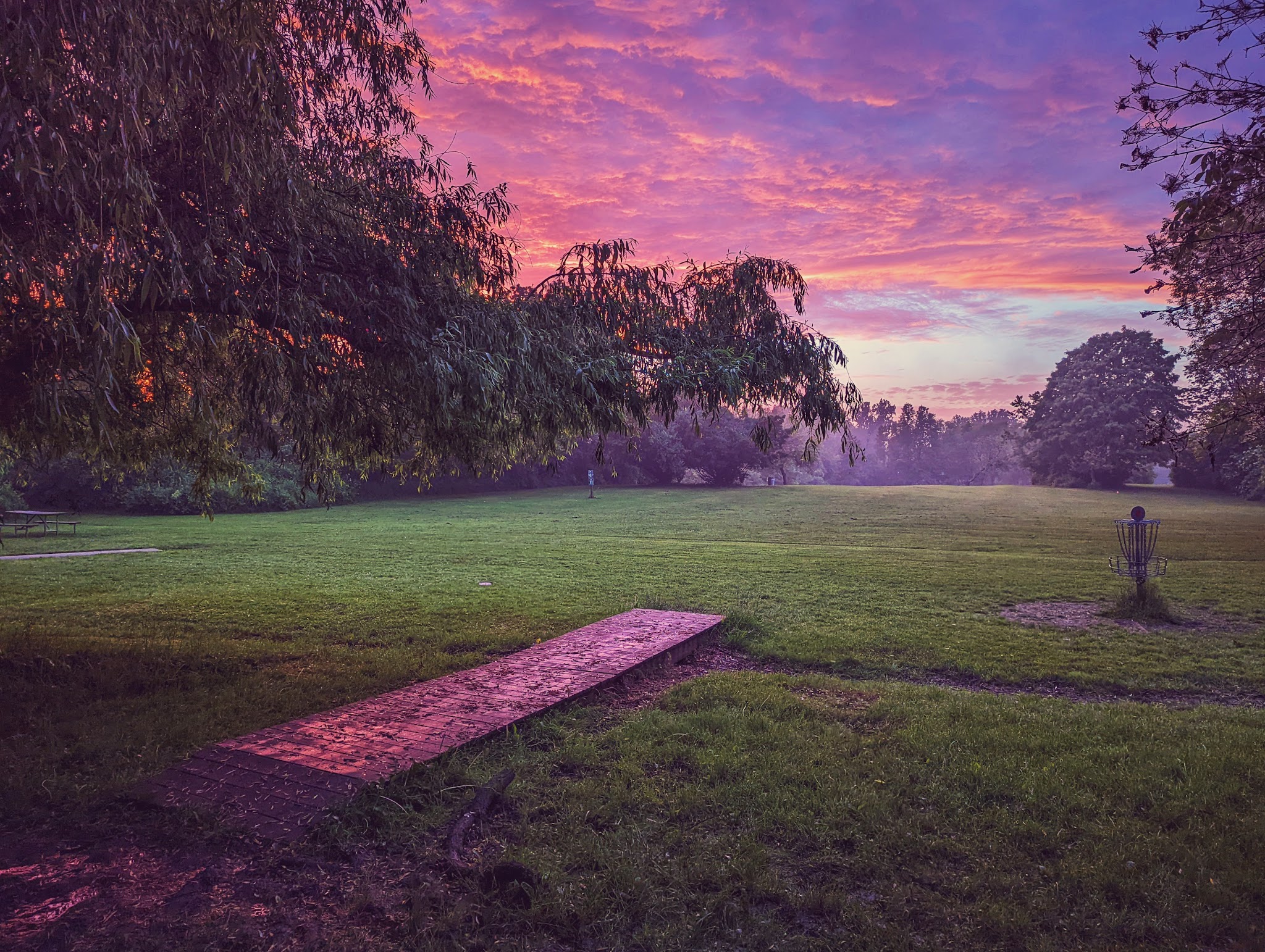 Joseph Davis State Park