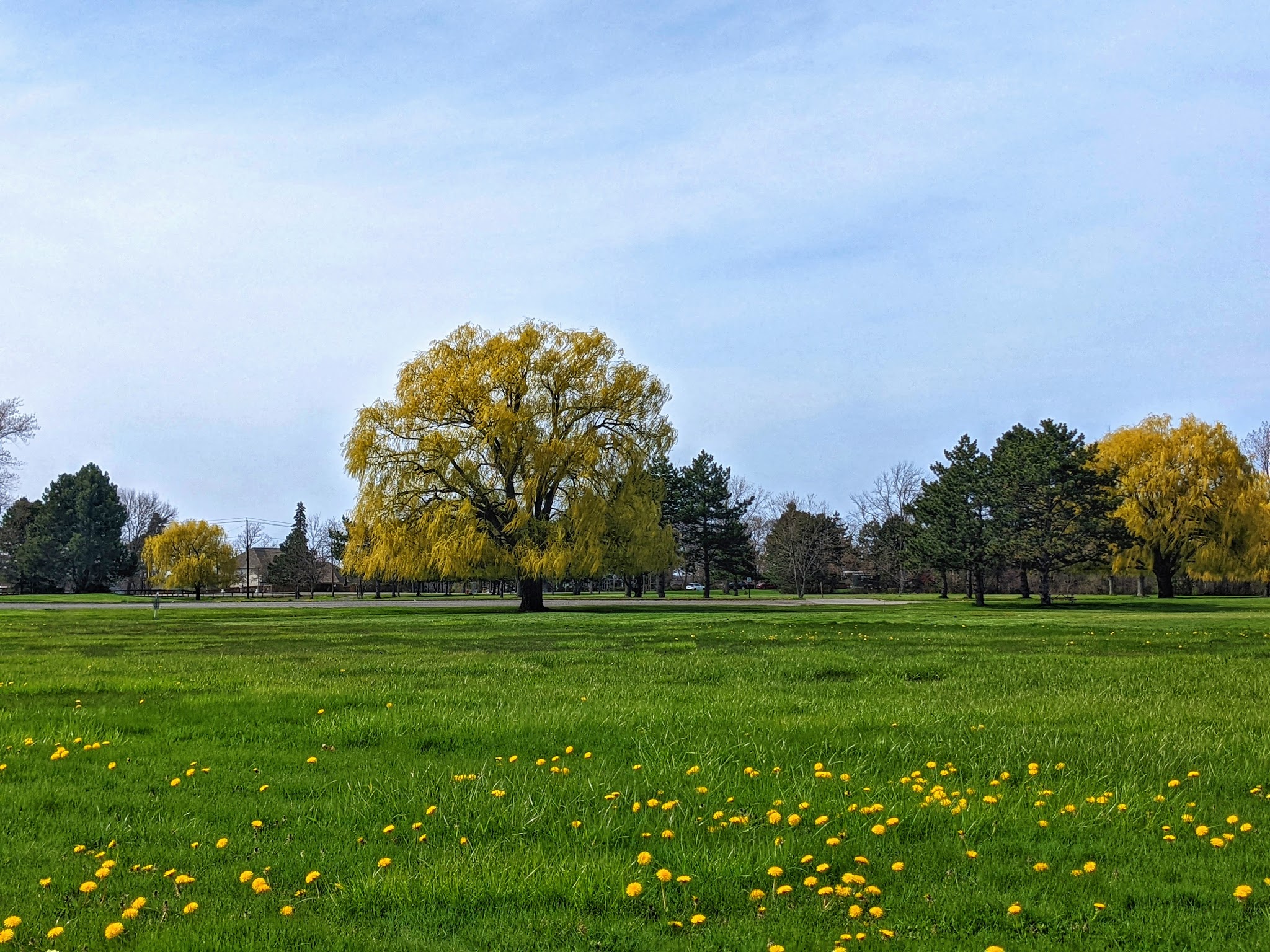 Joseph Davis State Park