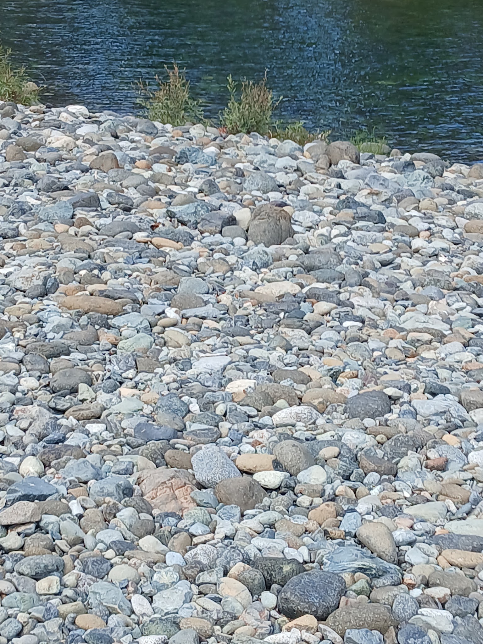 Josephine Campground