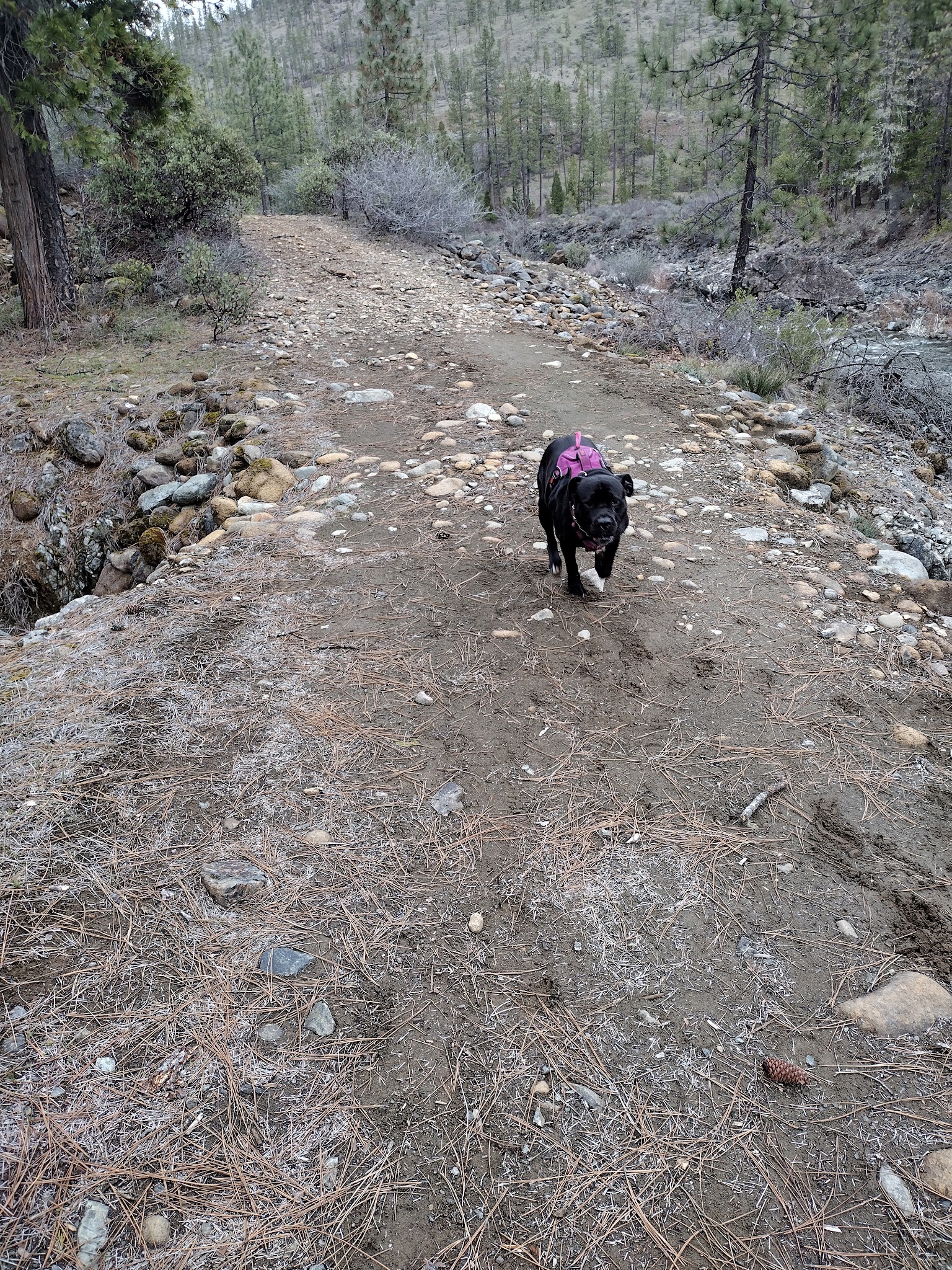 Josephine Campground