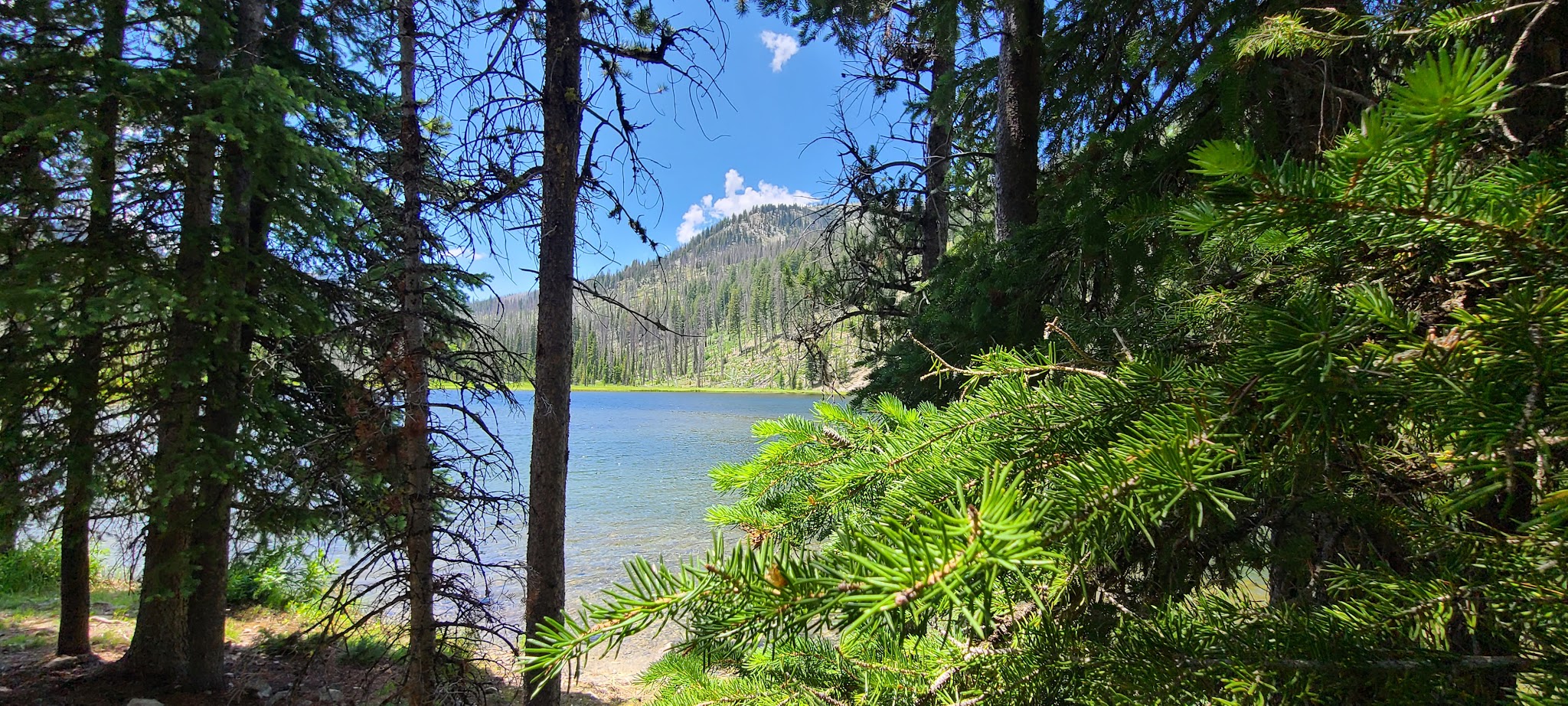Josephus Lake Campground