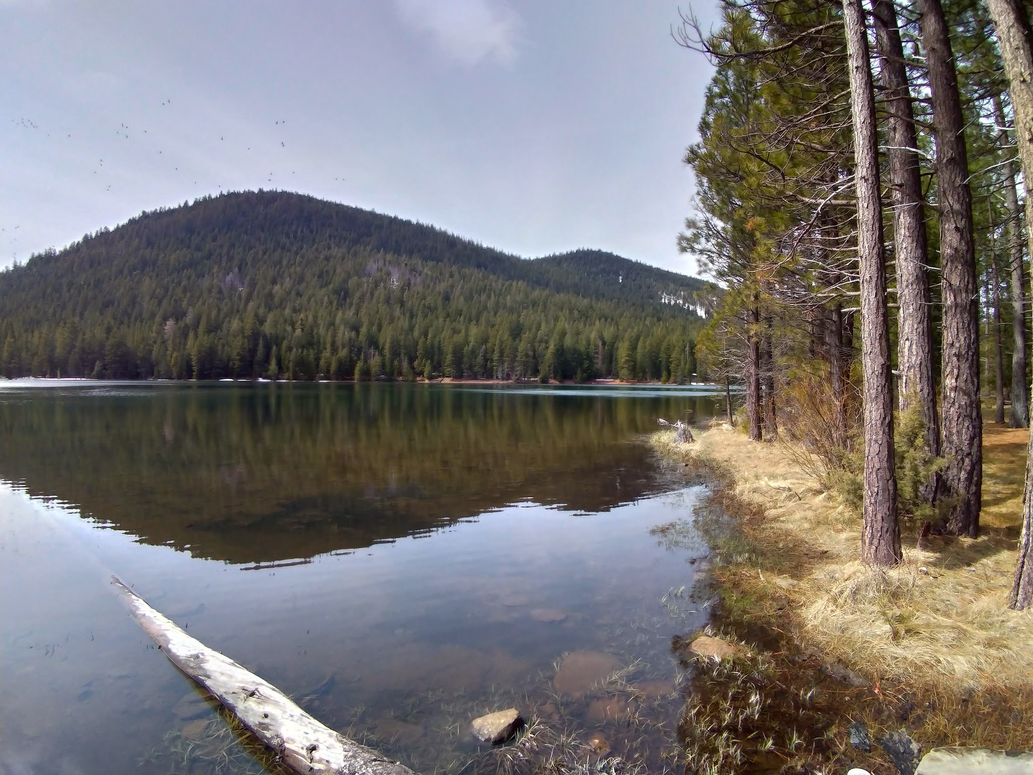 Juanita Lake Group Campsite