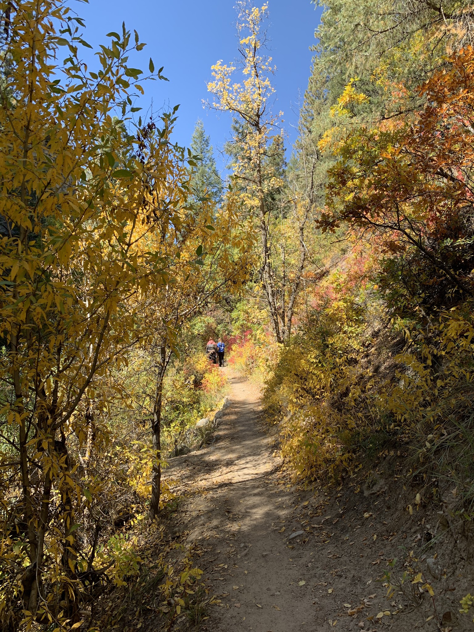Junction Creek Campground