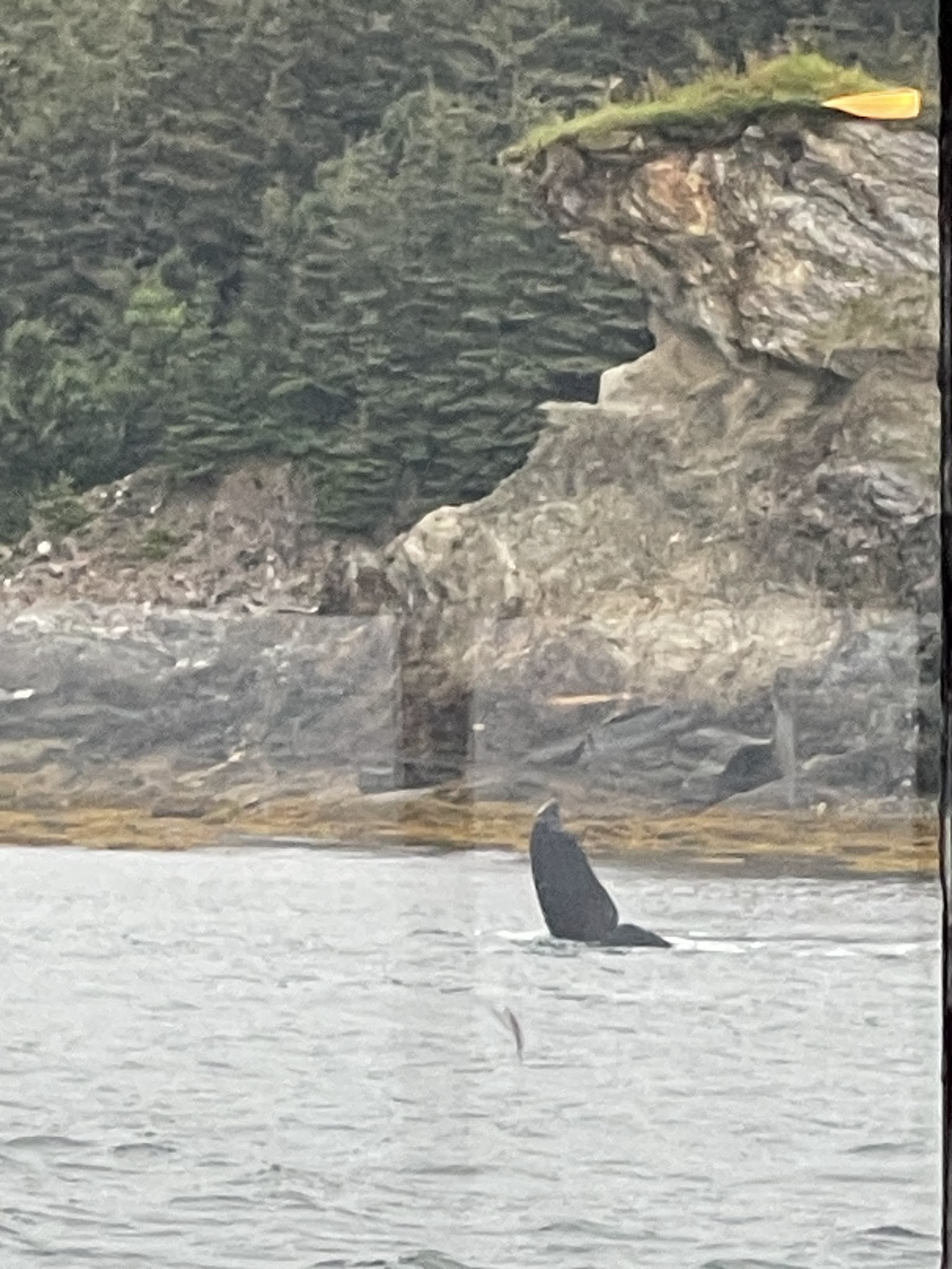 Clover Island State Marine Park