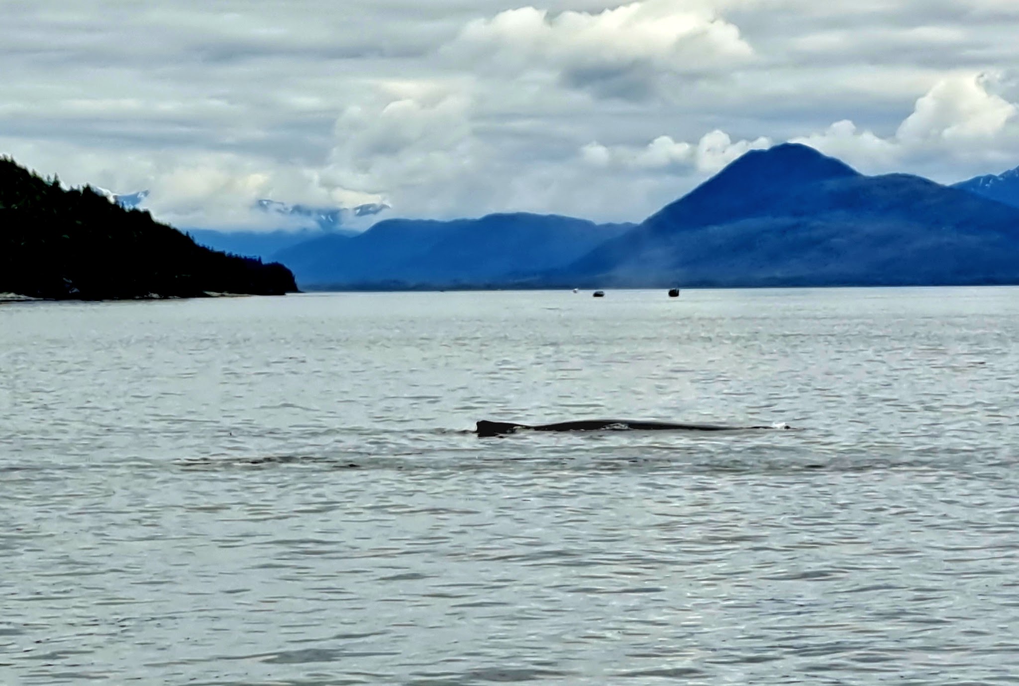 Clover Island State Marine Park