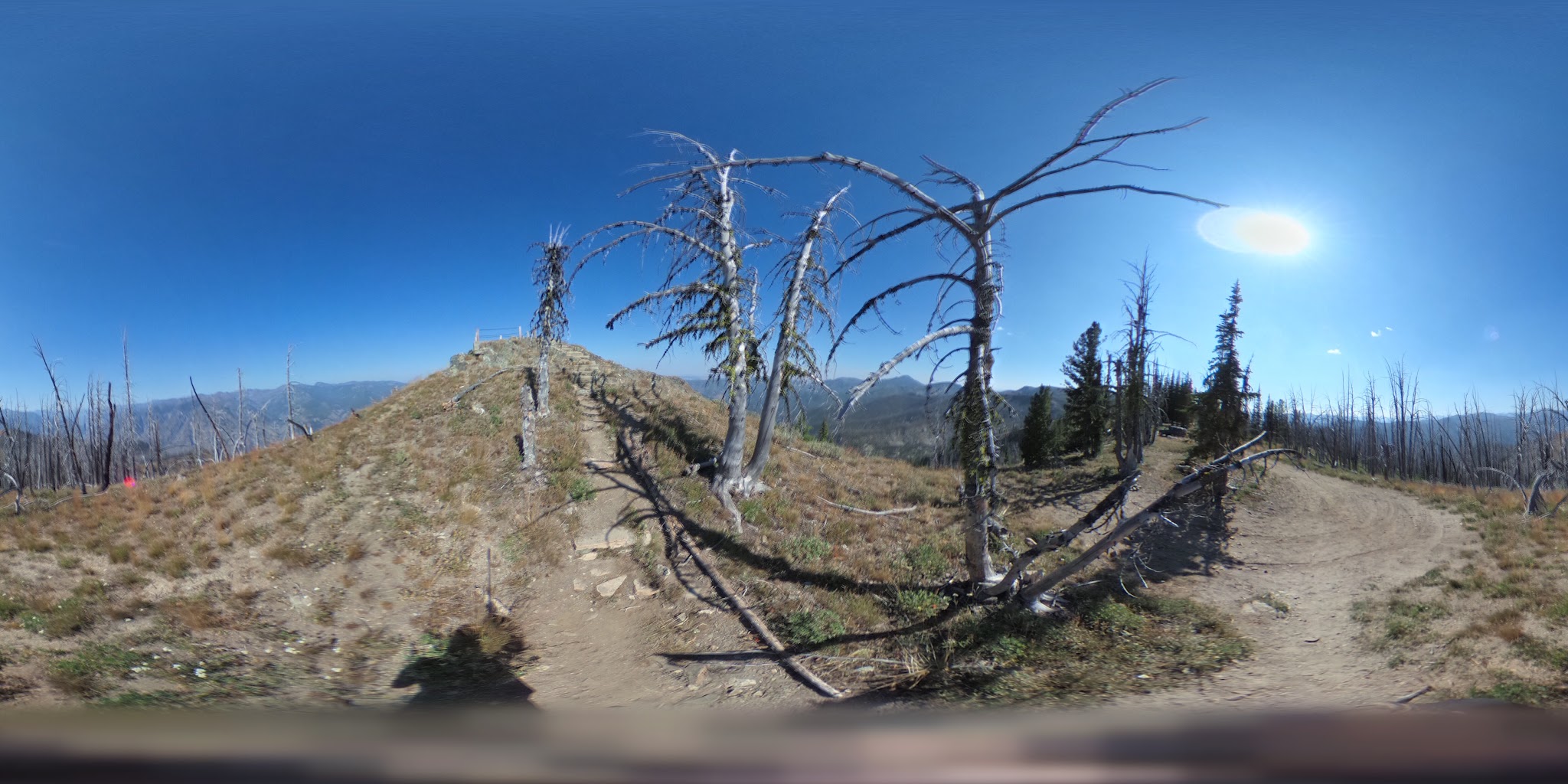 Junior Point Campground