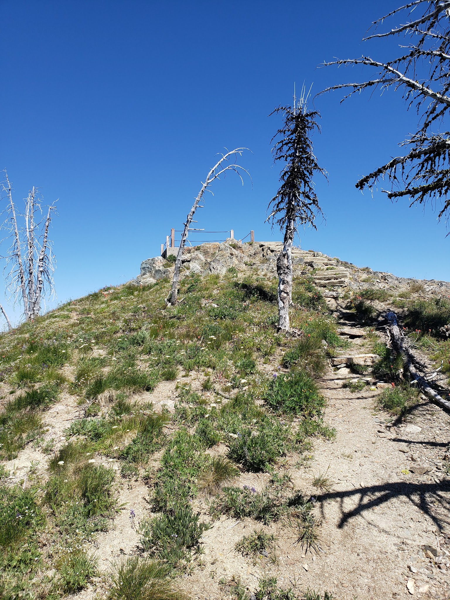 Junior Point Campground