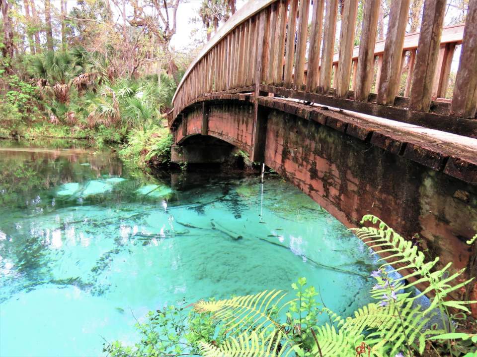 Juniper Springs Rec Area