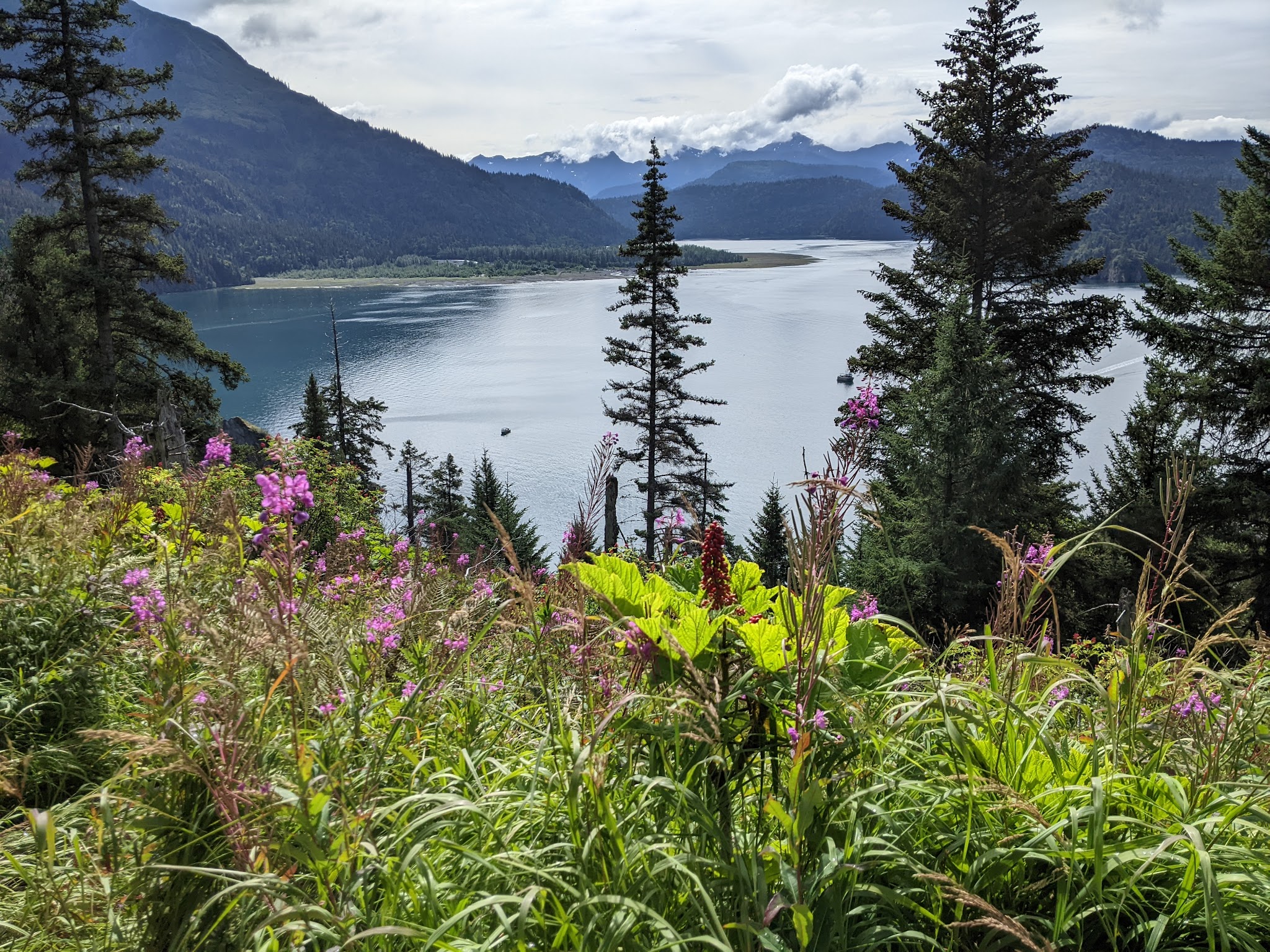 Kachemak Bay State Park