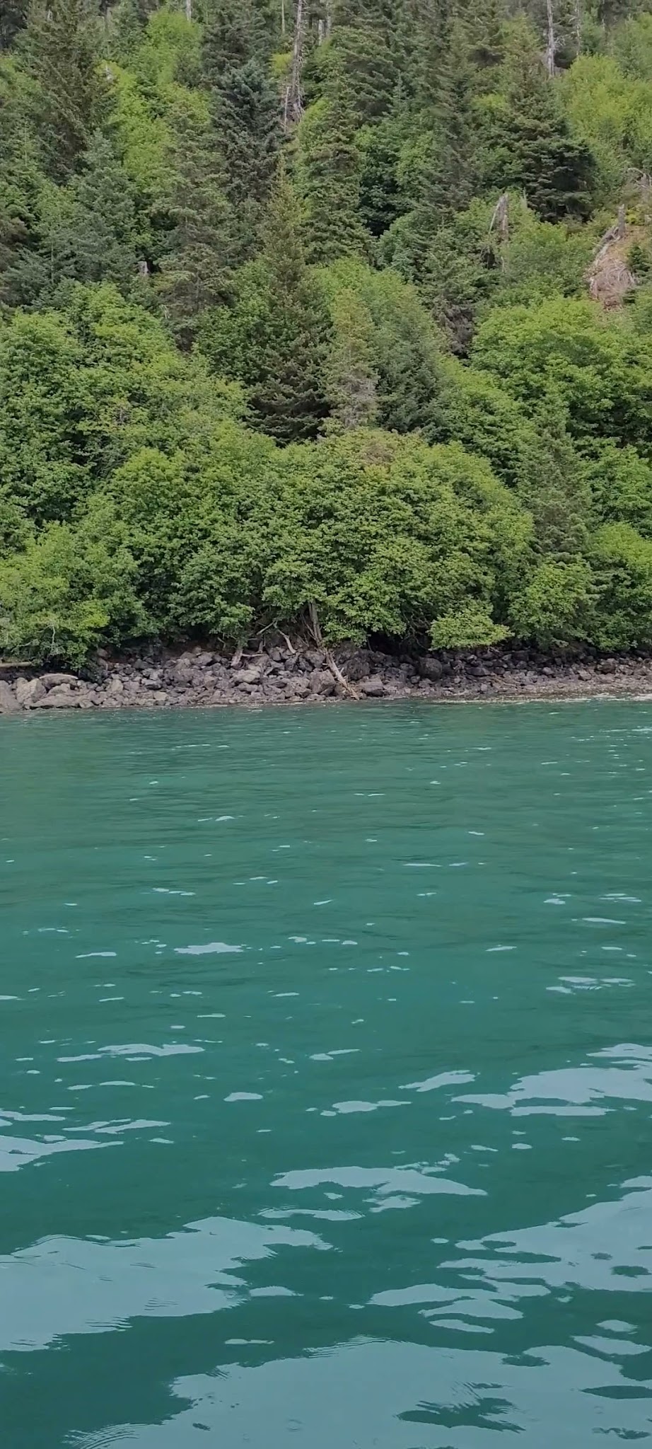 Kachemak Bay State Park