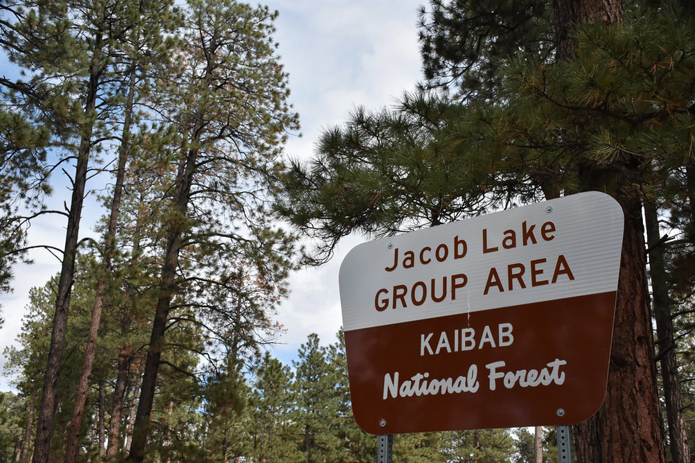 Jacob Lake Group Campground & Picnic Site