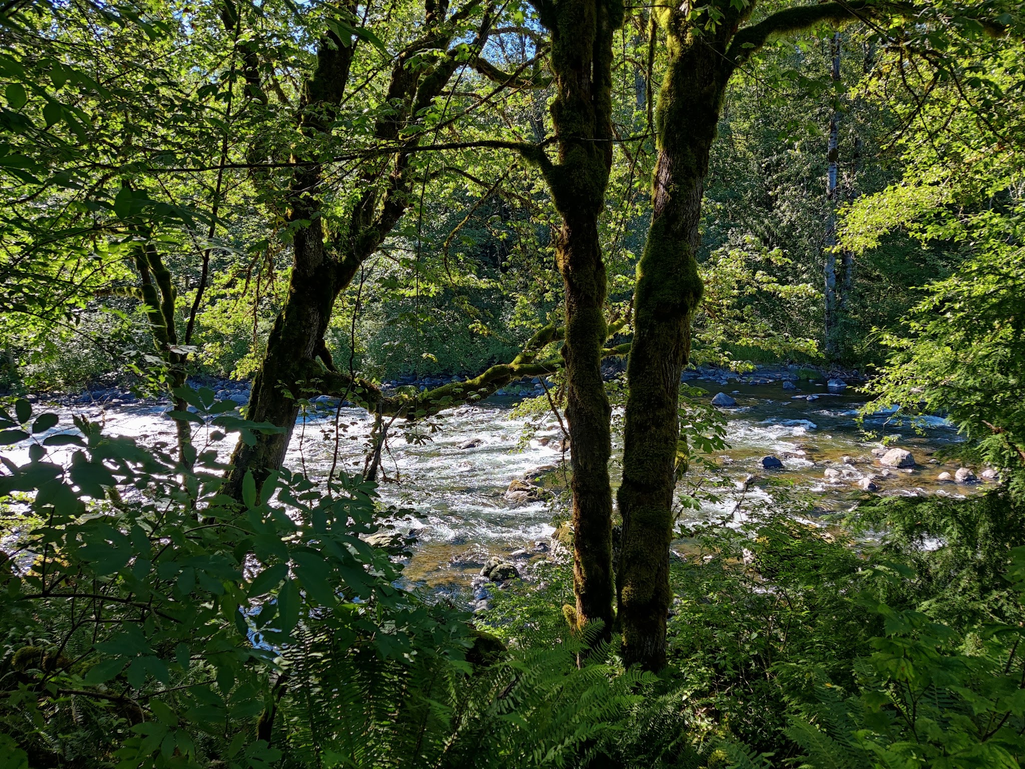 Kanaskat-Palmer State Park