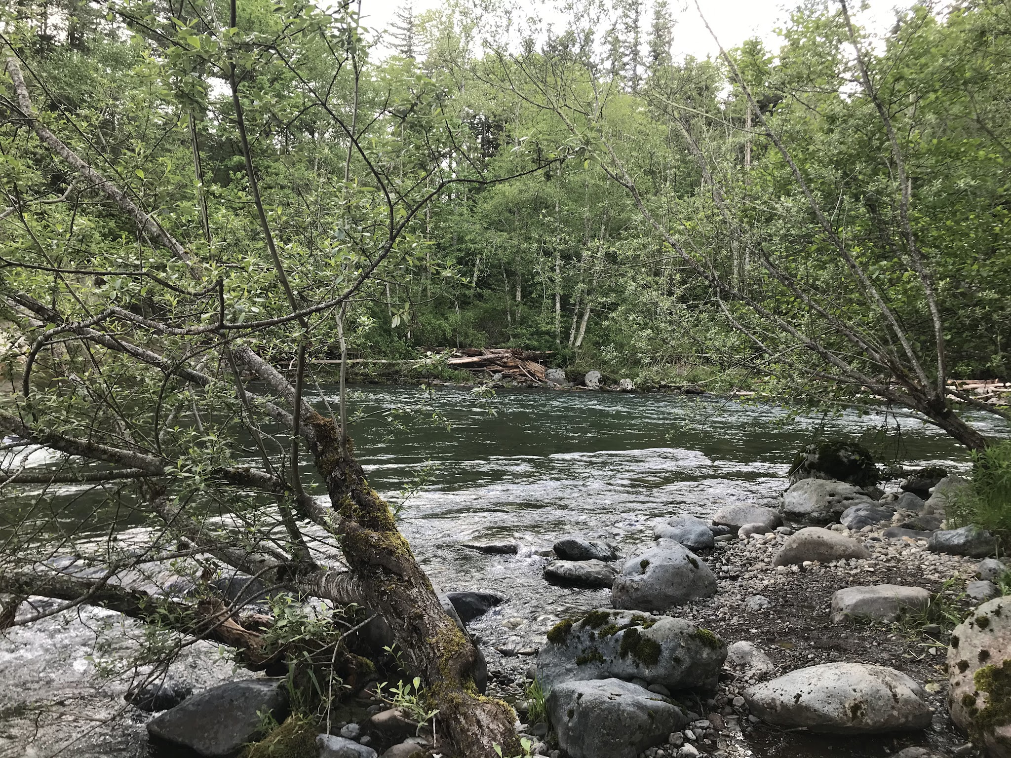 Kanaskat-Palmer State Park